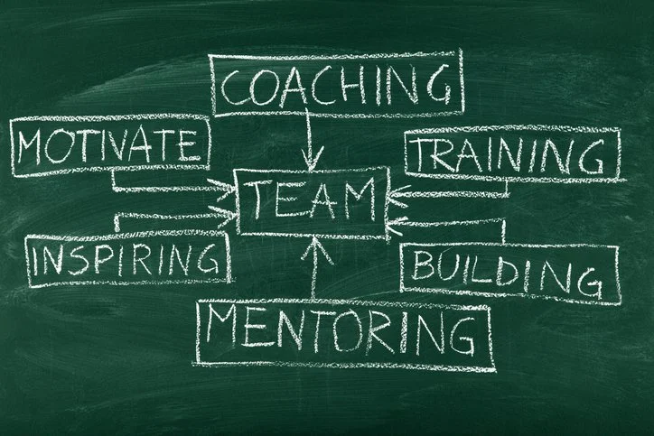 Illustration of services like training, mentoring and coaching