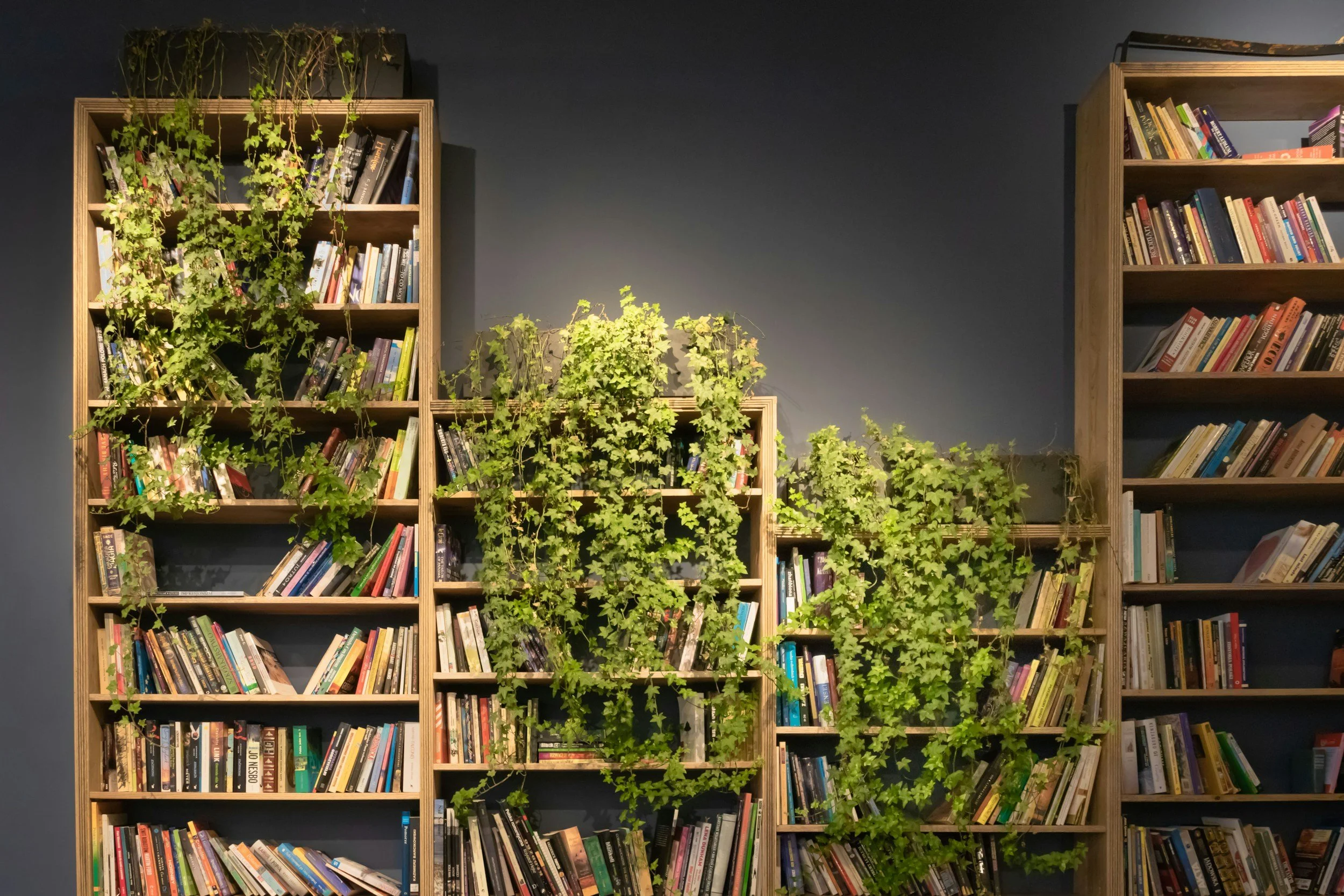 Bookshelves filled with books and green climbing plants against a dark wall.