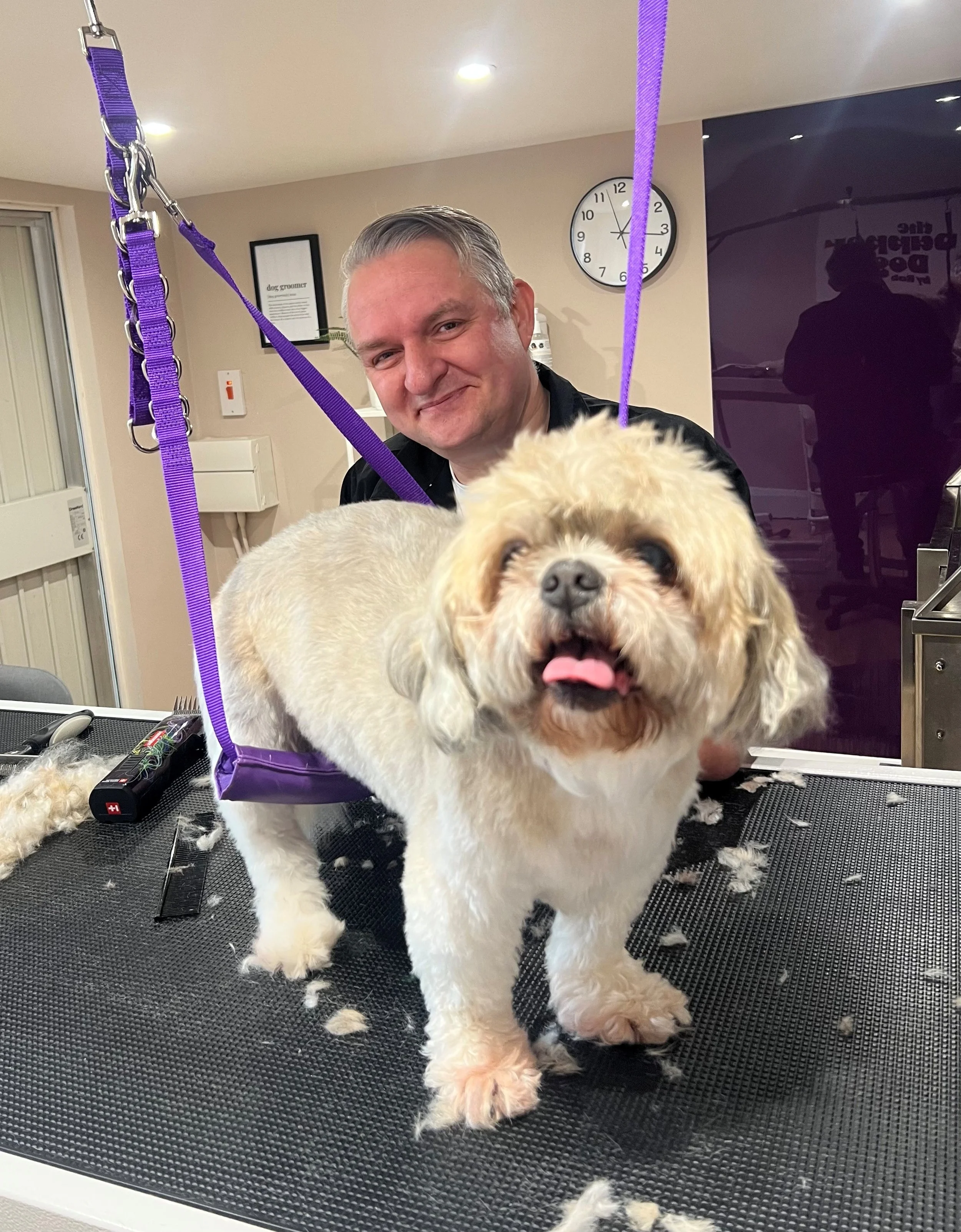 A Beckenham dog groomer, smiling behind a fluffy, dog on a grooming table in a dog groomers salon. The dog having a hair cut.