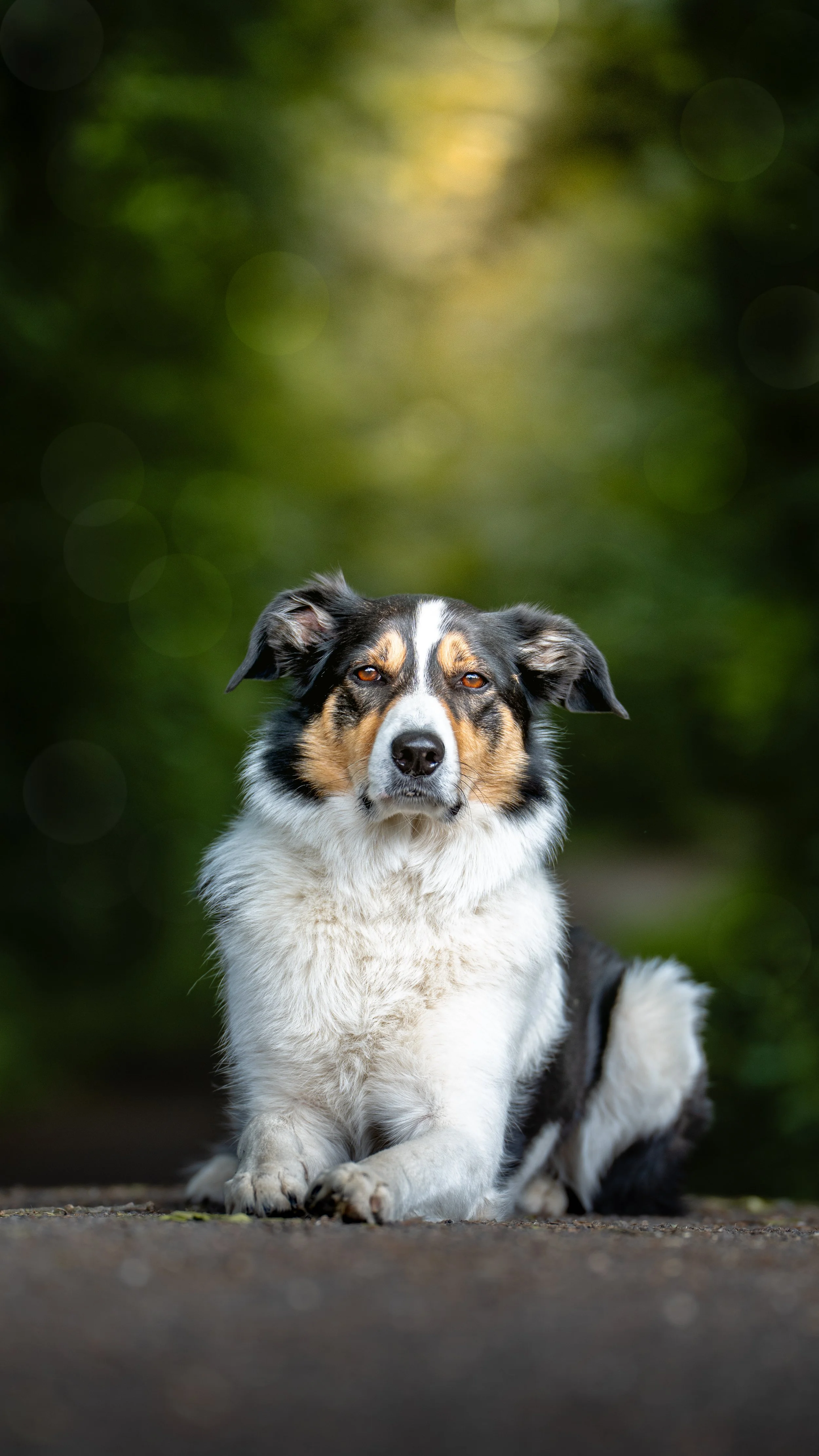 20260607-A7401488-Edit-2.jpg