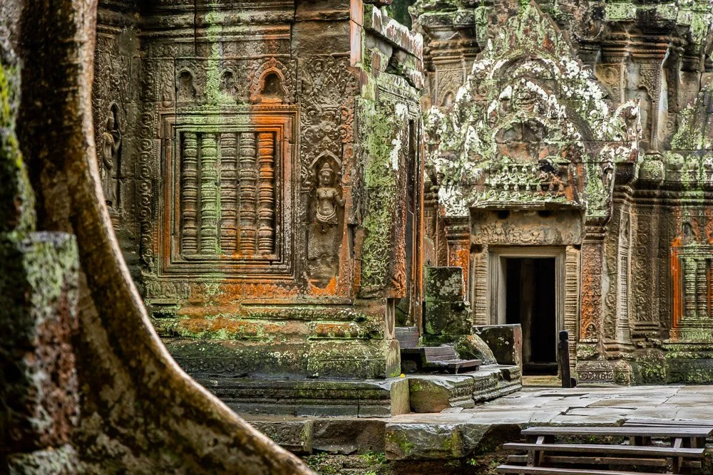 Cambodia '19 and '25