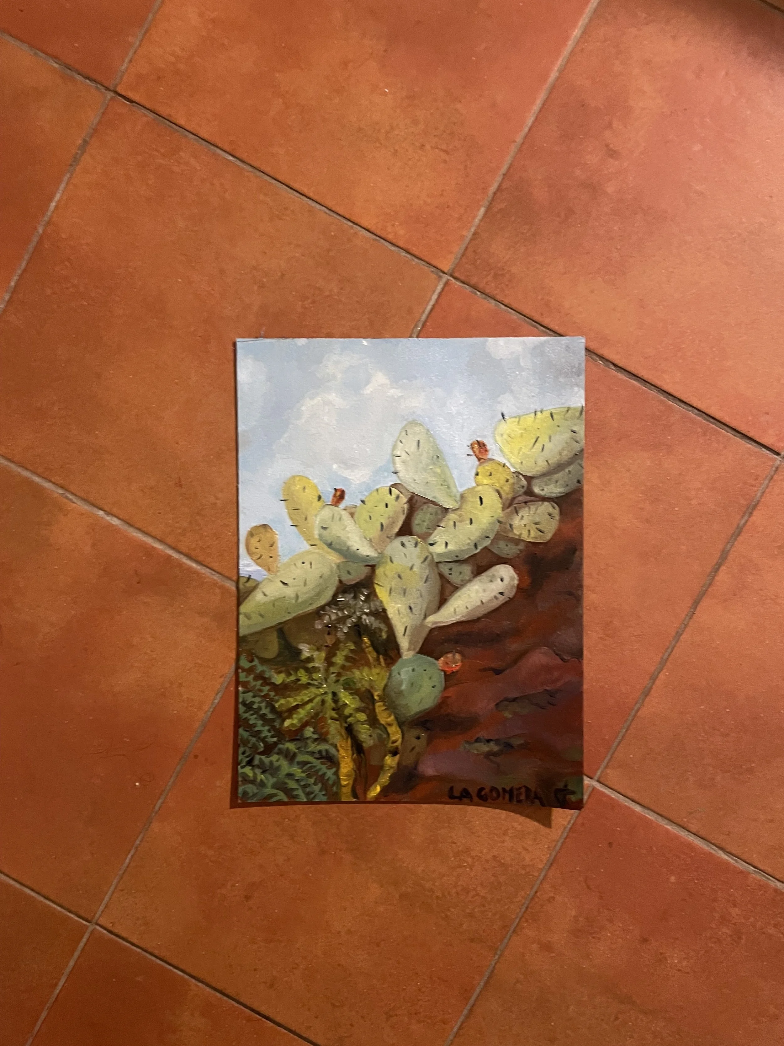 La gomera (2025, casa Tagumerche)