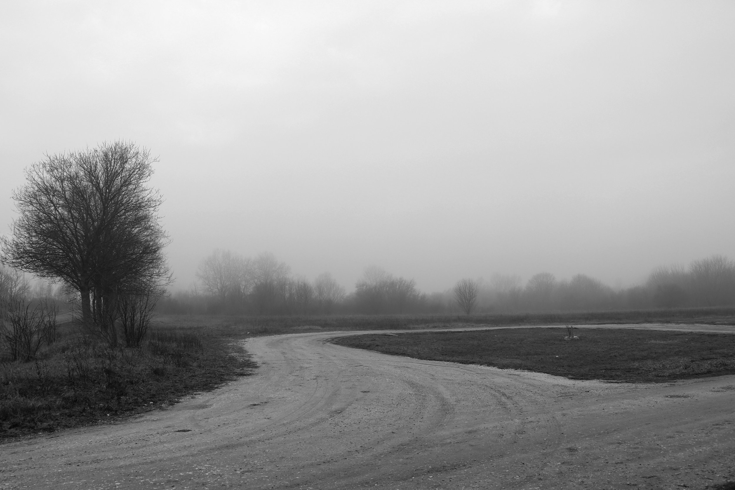 _MG_0416szurke.jpg