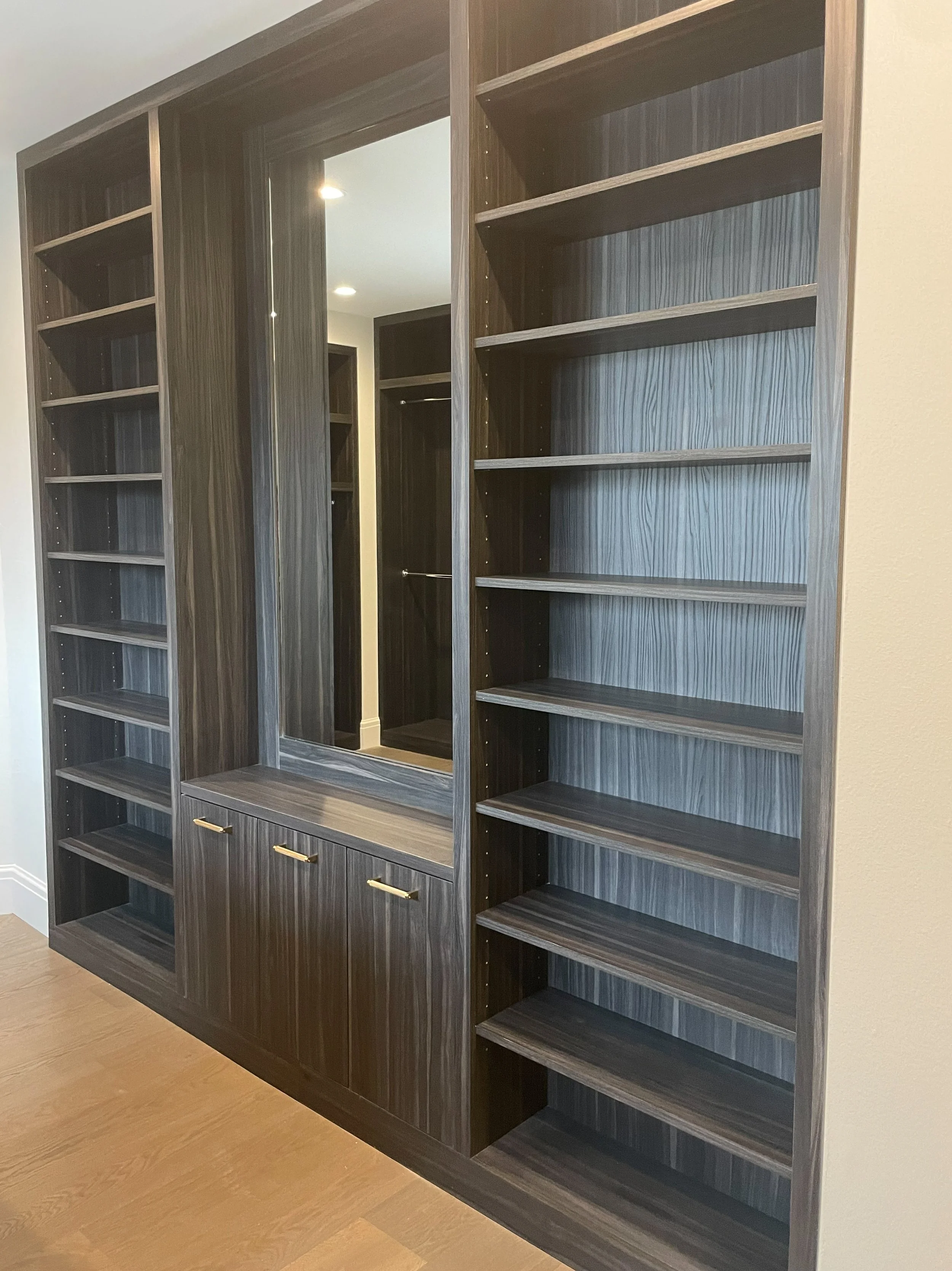 Modern dark laminate closet