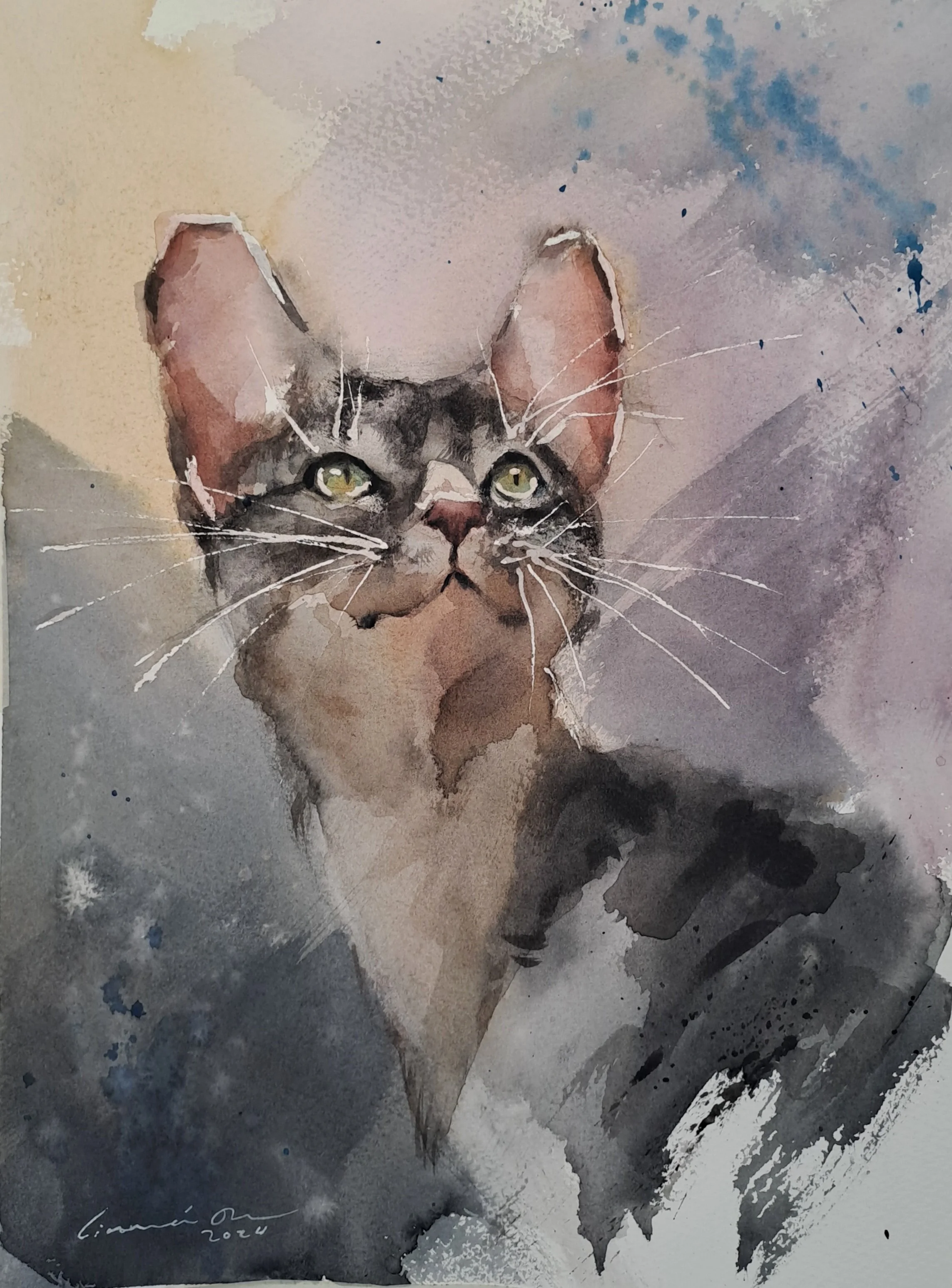 Little cat, watercolor