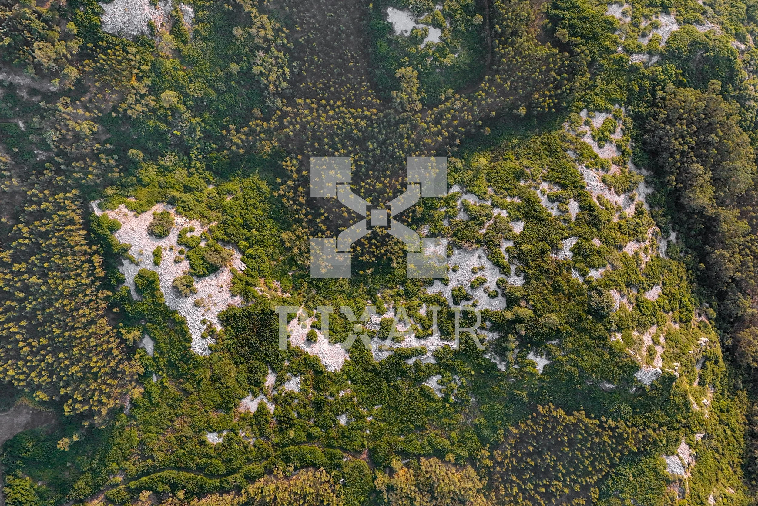 Imagem de uma área de floresta vista de cima, com árvores verdes e árvores de cores variadas, e algumas partes de terra exposta de cor clara.