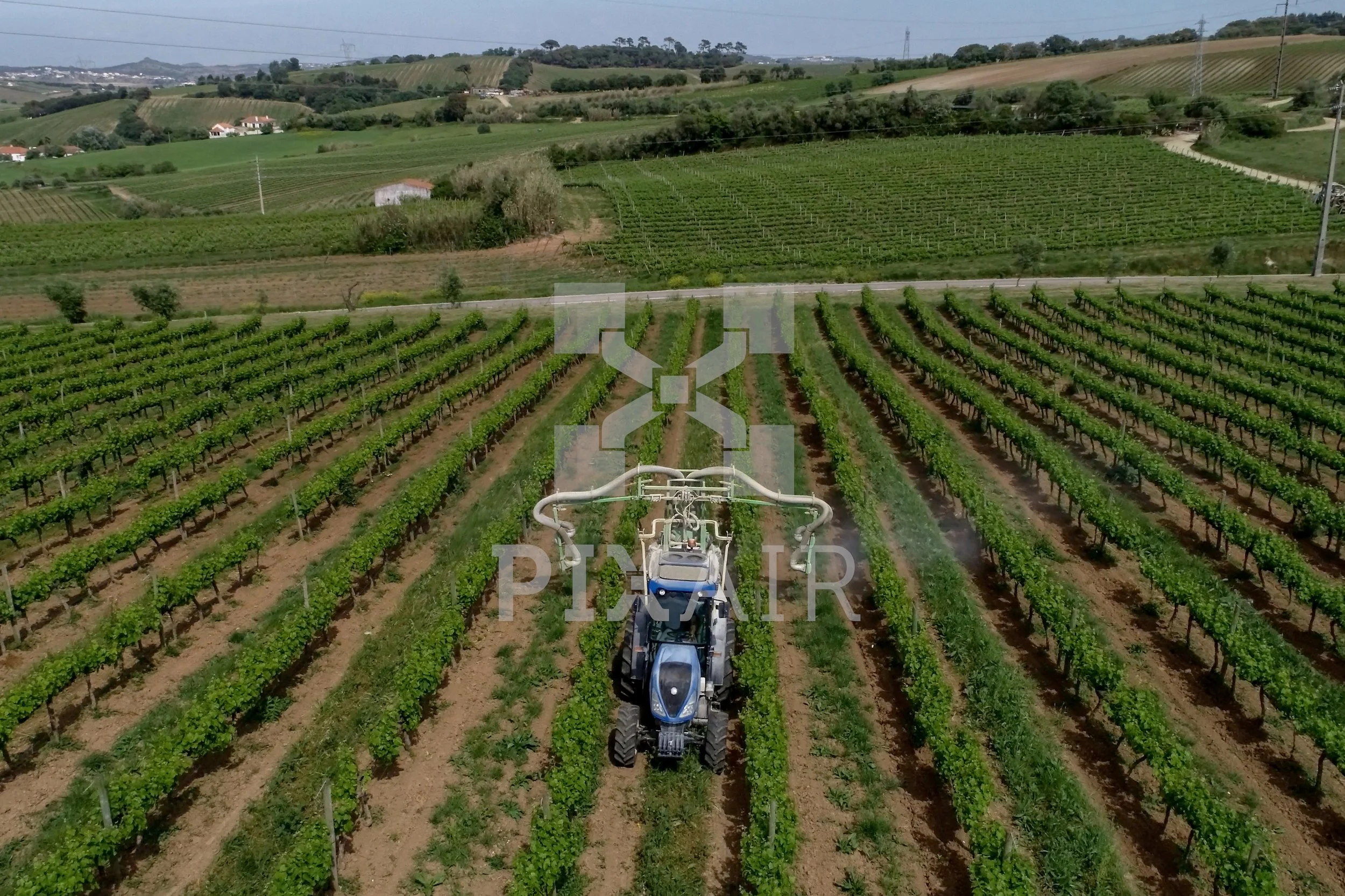 Motoqueiro dirigindo uma máquina agrícola em vinhedo, campo de videiras na paisagem rural.
