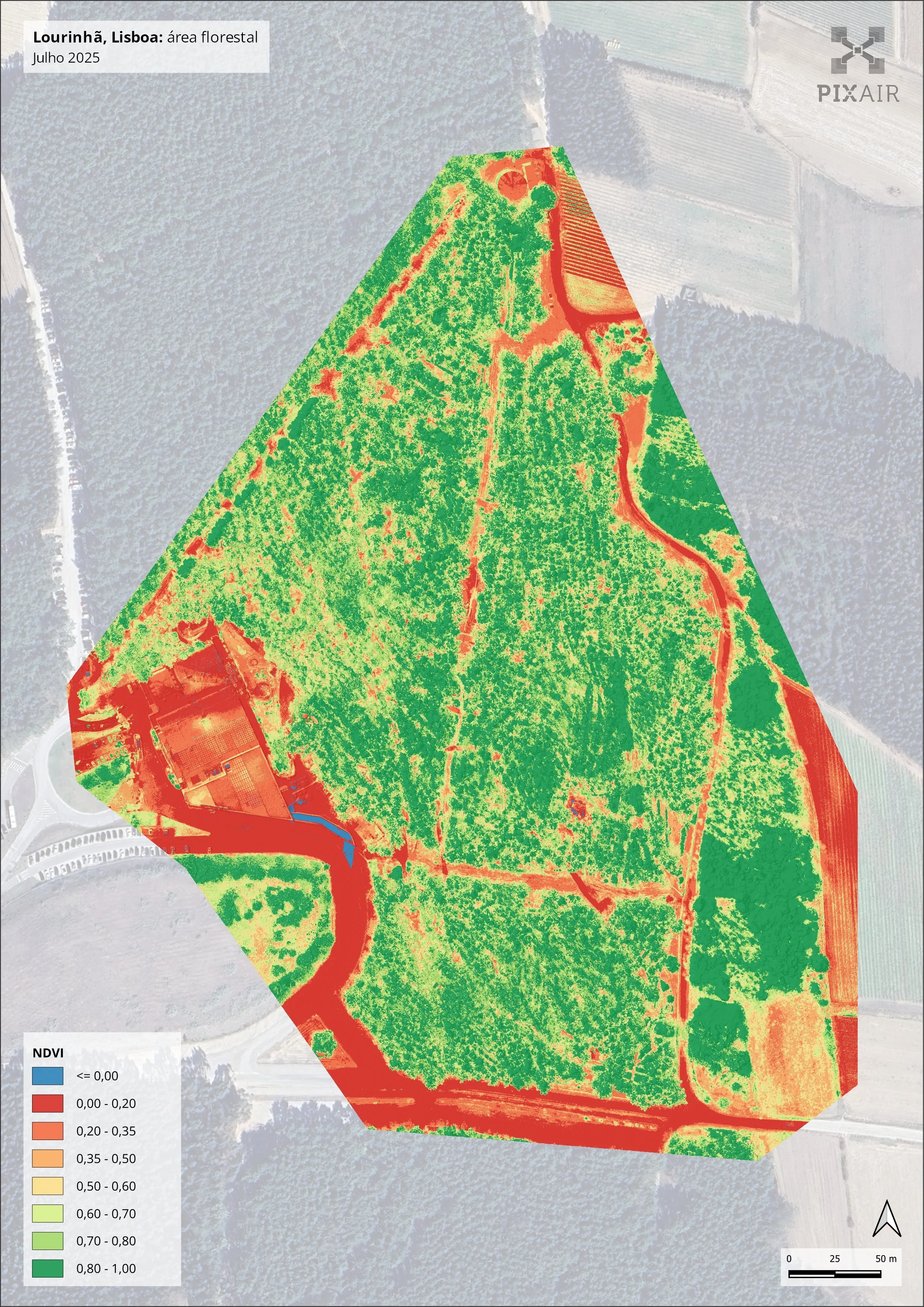 Normalized Difference Vegetation Index