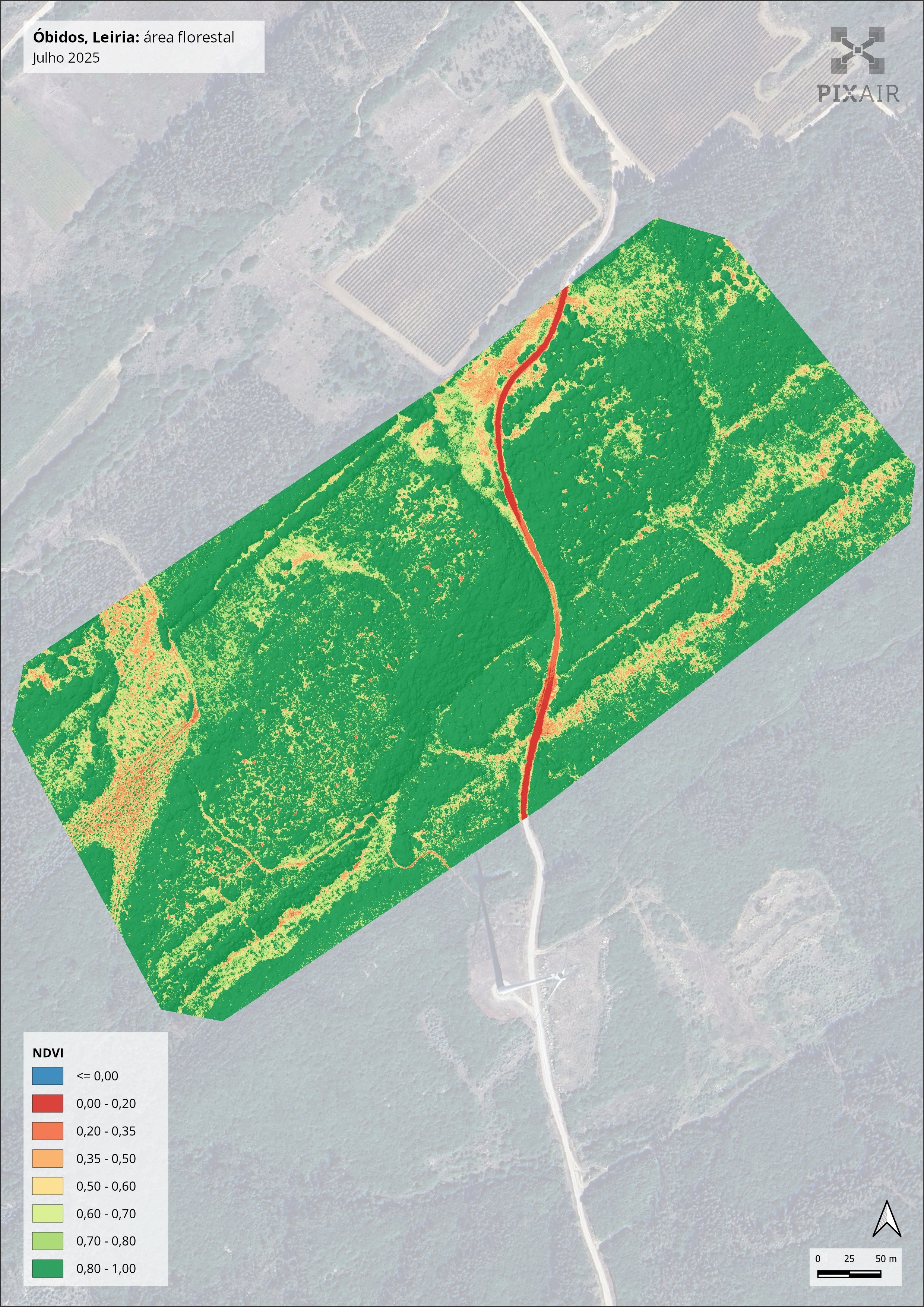 Normalized Difference Vegetation Index