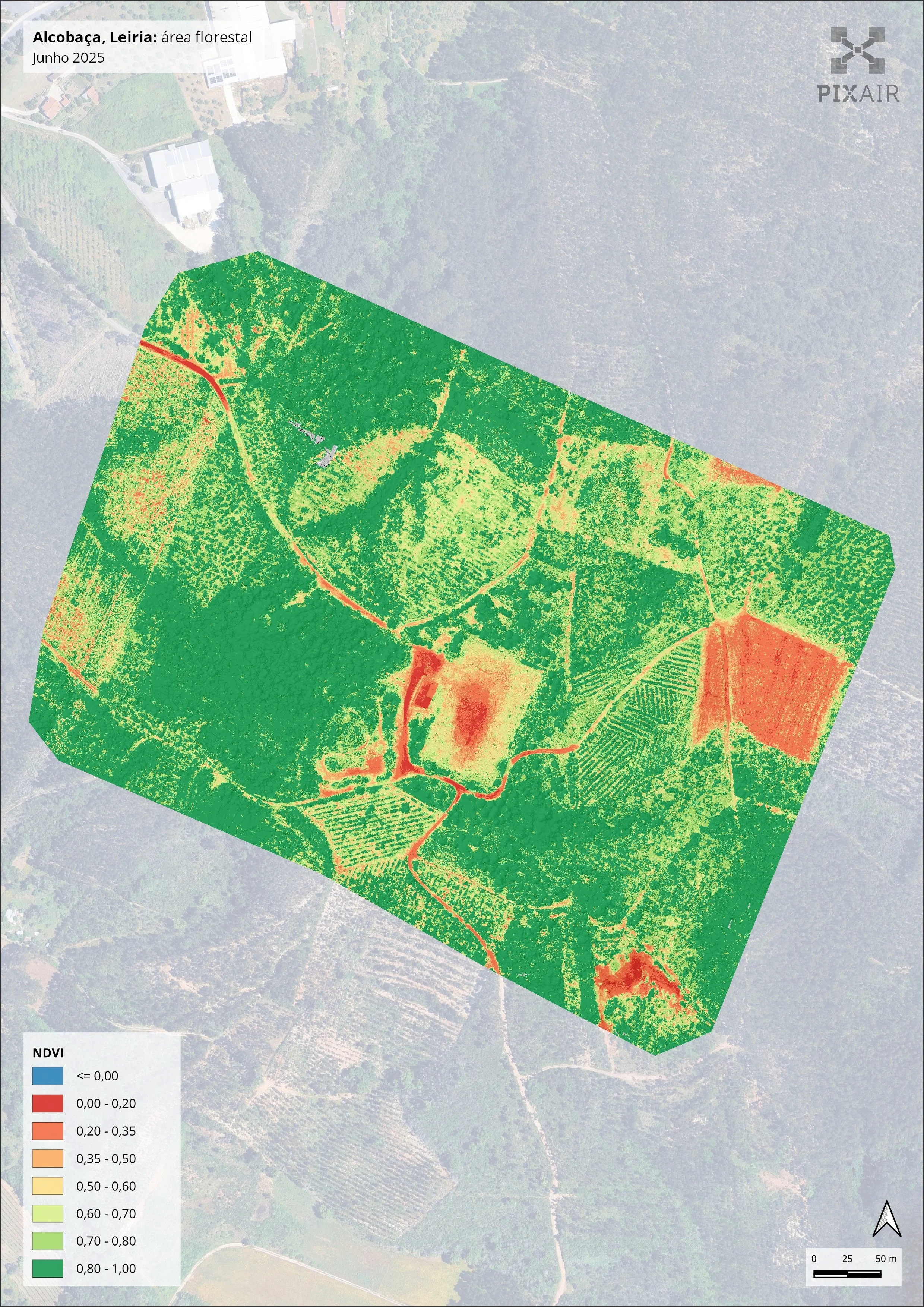Normalized Difference Vegetation Index