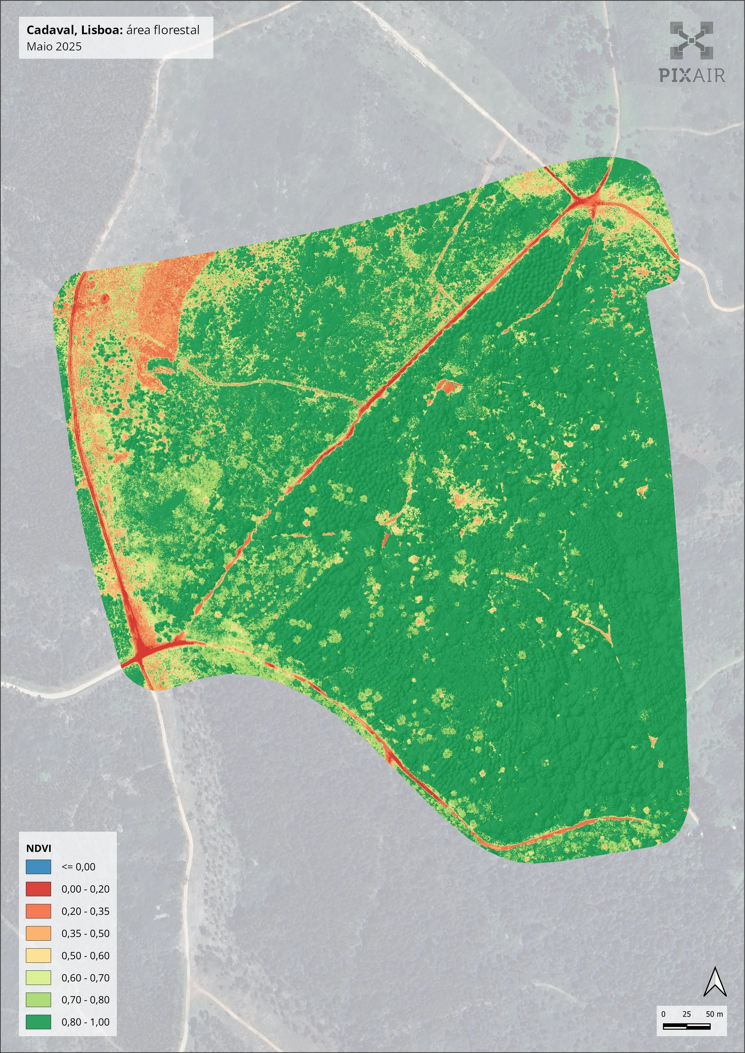 Normalized Difference Vegetation Index