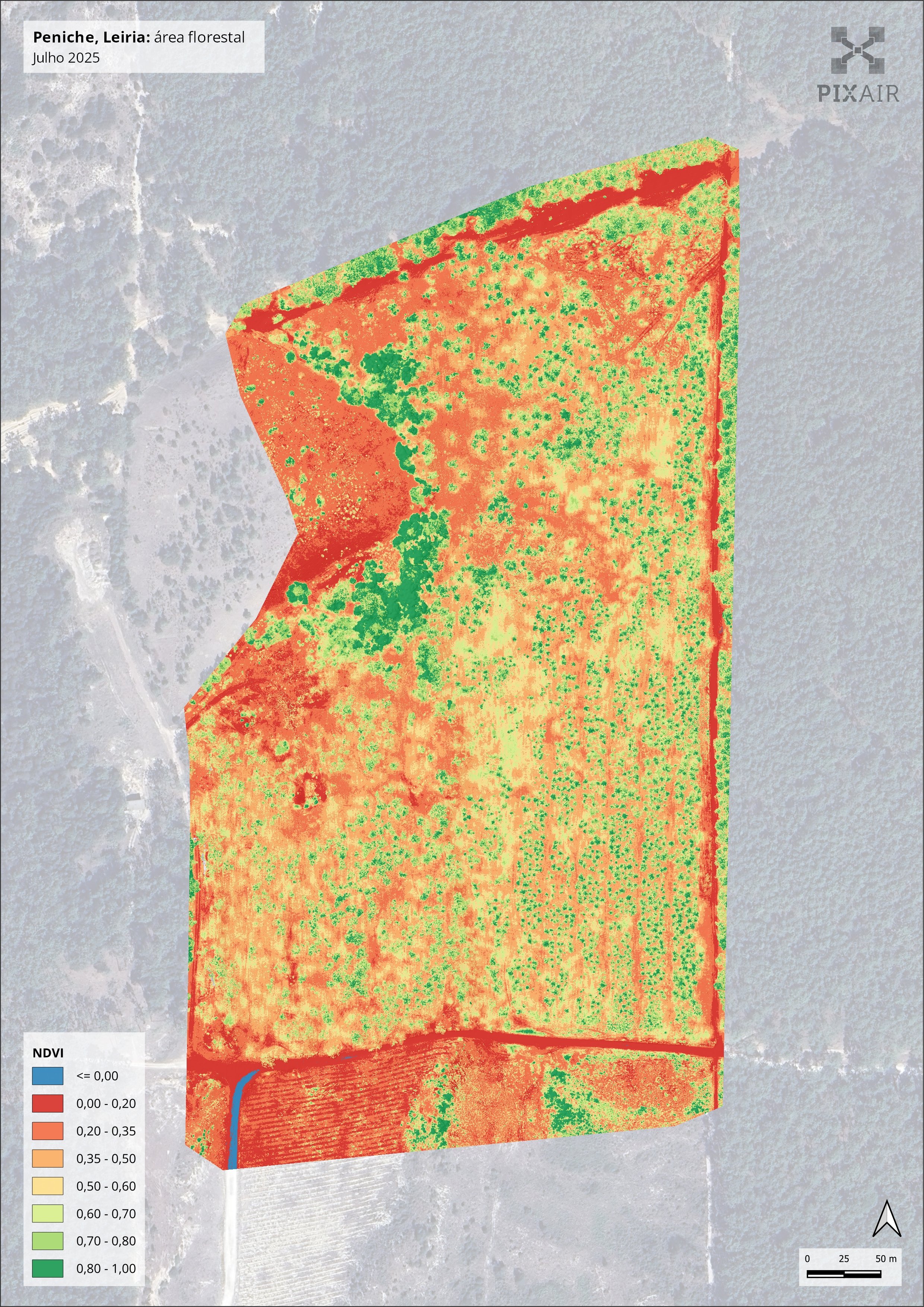 Normalized Difference Vegetation Index