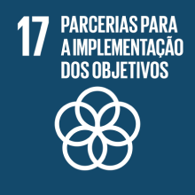 Número 17 com texto em português sobre parcerias na implementação de objetivos, na cor azul.