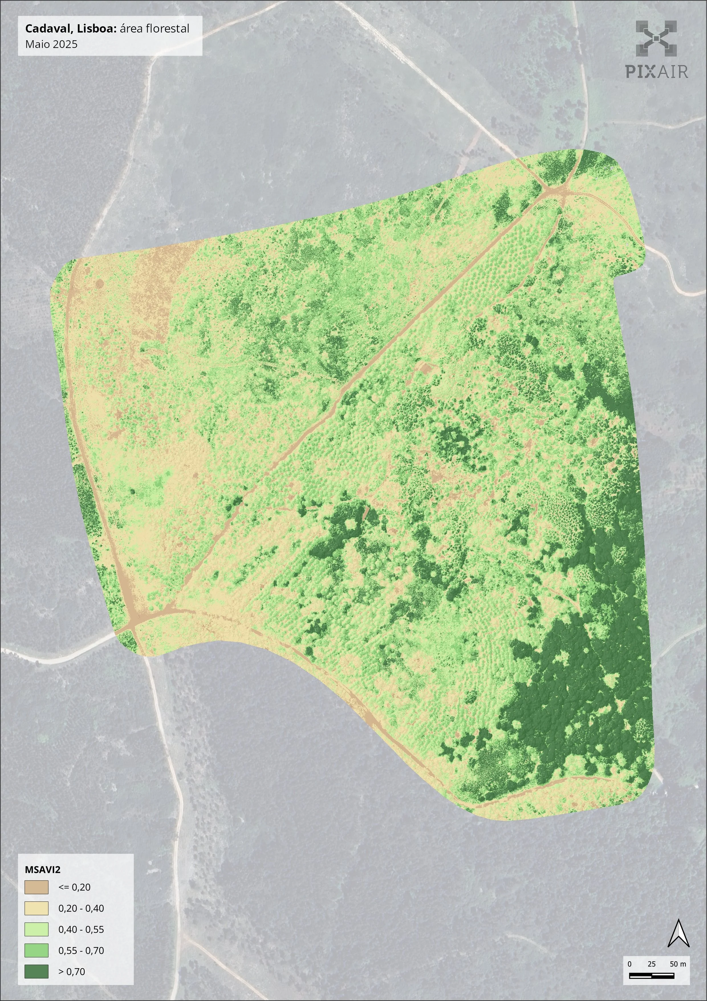 Modified Soil Adjusted Vegetation Index