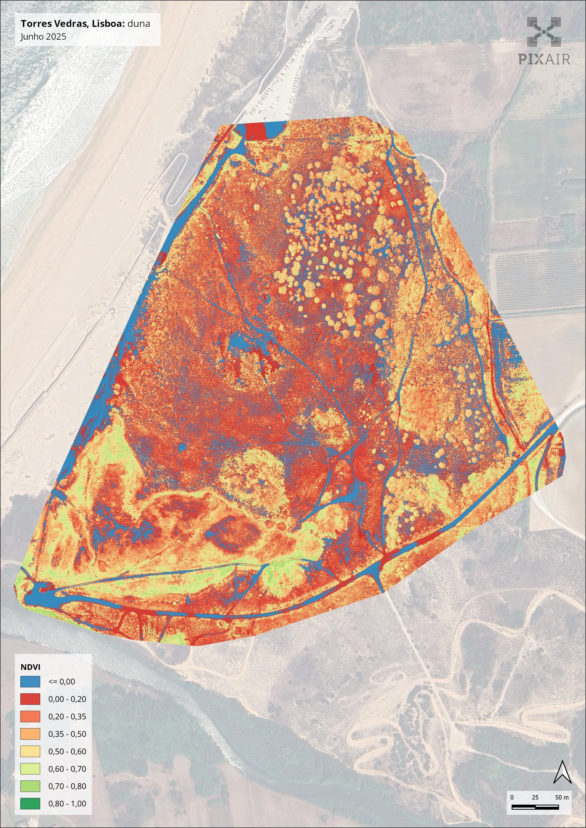 Normalized Difference Vegetation Index