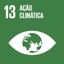 Imagem do Objetivo de Desenvolvimento Sustentável 13: Ação Climática, com ícone de um olho e um globo terrestre.