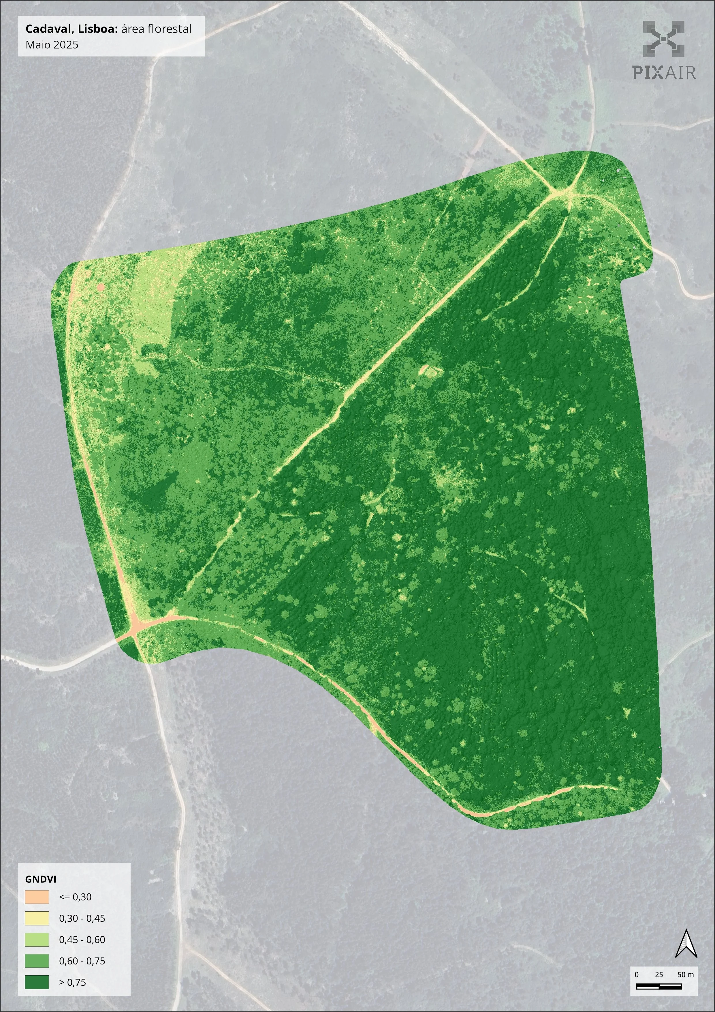 Green Normalized Difference Vegetation Index