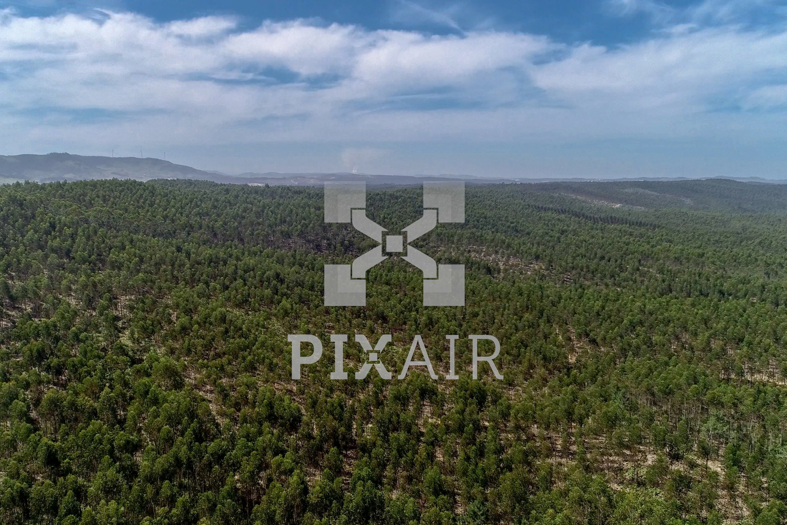 Imagem de uma vasta floresta de árvores verdes sob um céu parcialmente nublado.