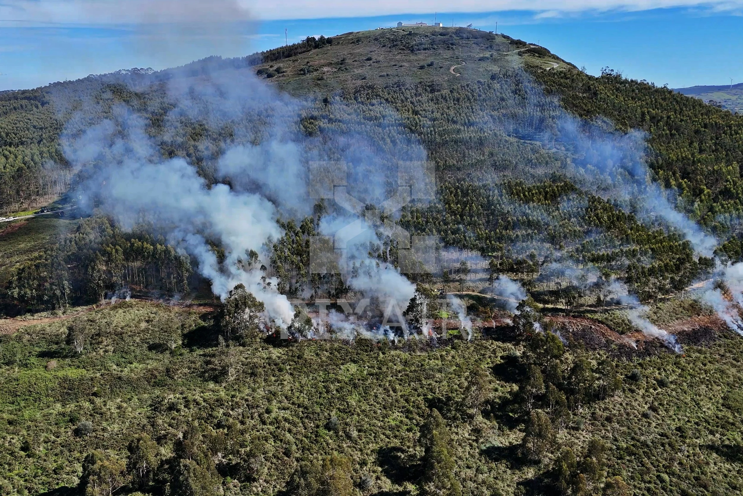 Incêndio florestal acontecendo em uma área de mata com muitas árvores, com fumaça branca subindo pelas encostas da colina sob um céu azul.
