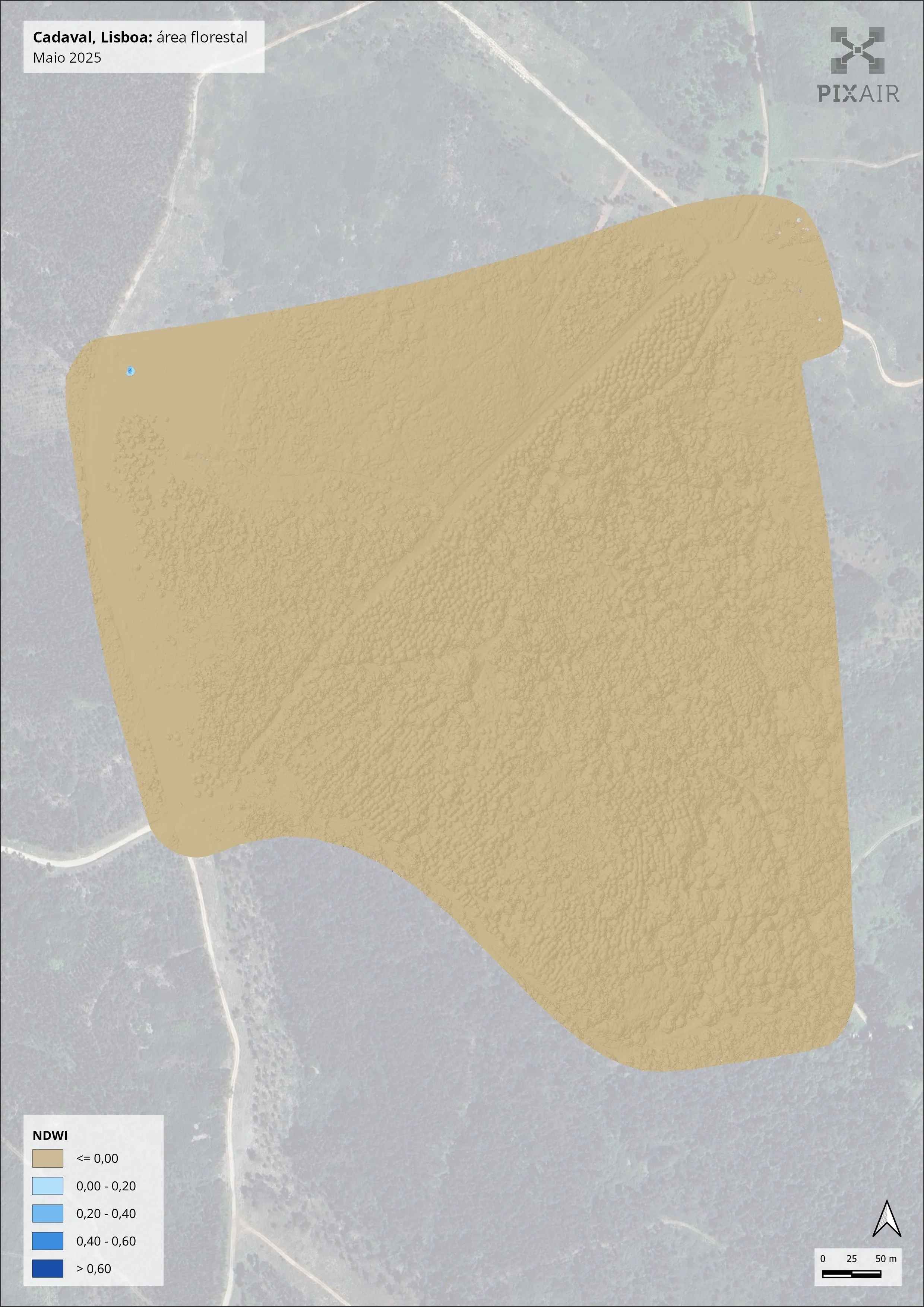 Normalized Difference Water Index