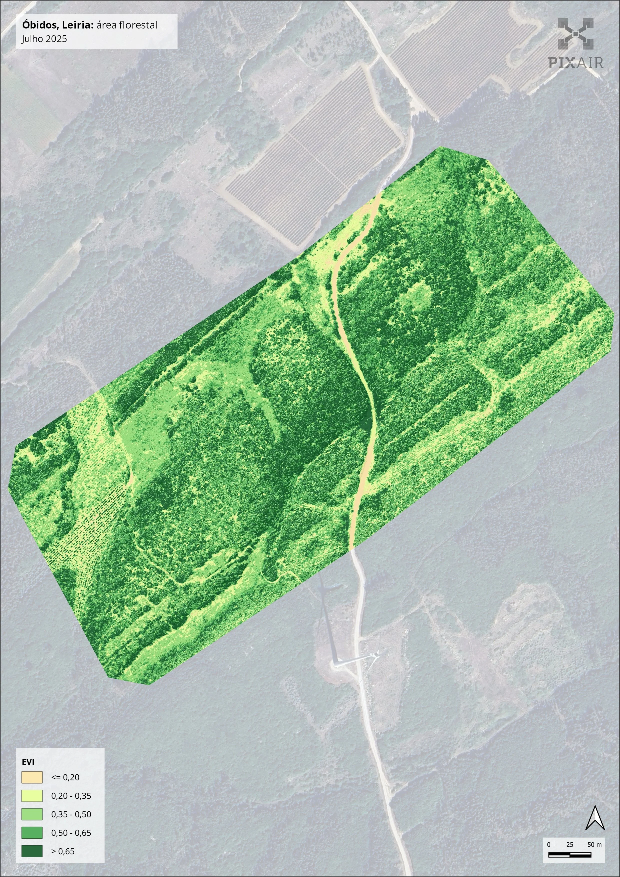 Enhanced Vegetation Index