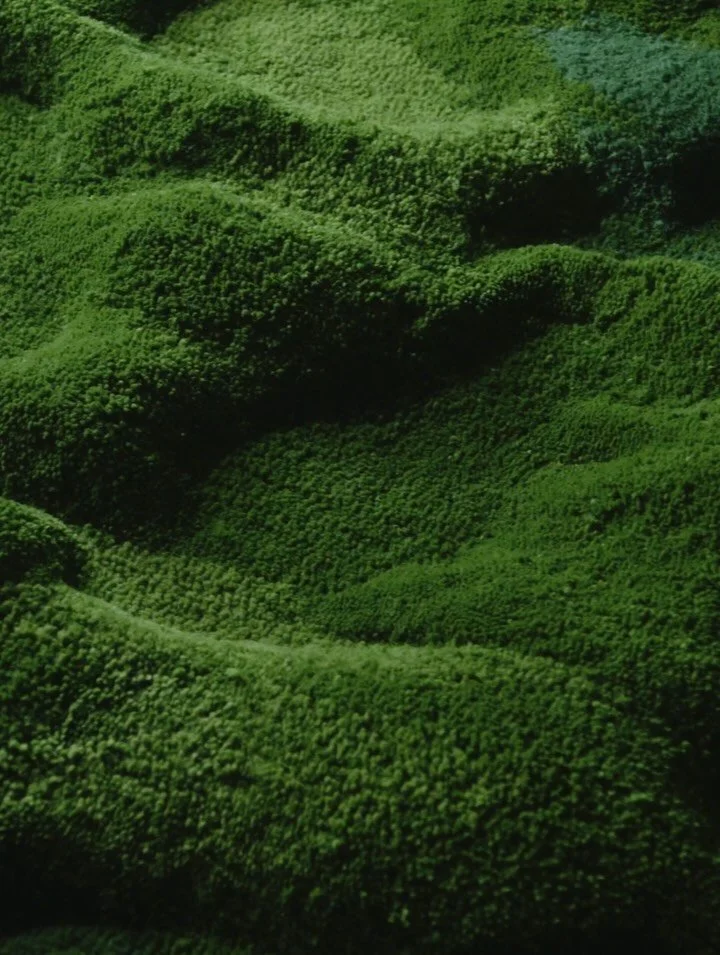 Softness for a hard world. Moss is natural layer of soft emotions, standing through every weather and growing again and again &ndash; day by day. The sun transforms the shape of moss 24/7 &ndash; it&acute;s in constant change and interplay with the n