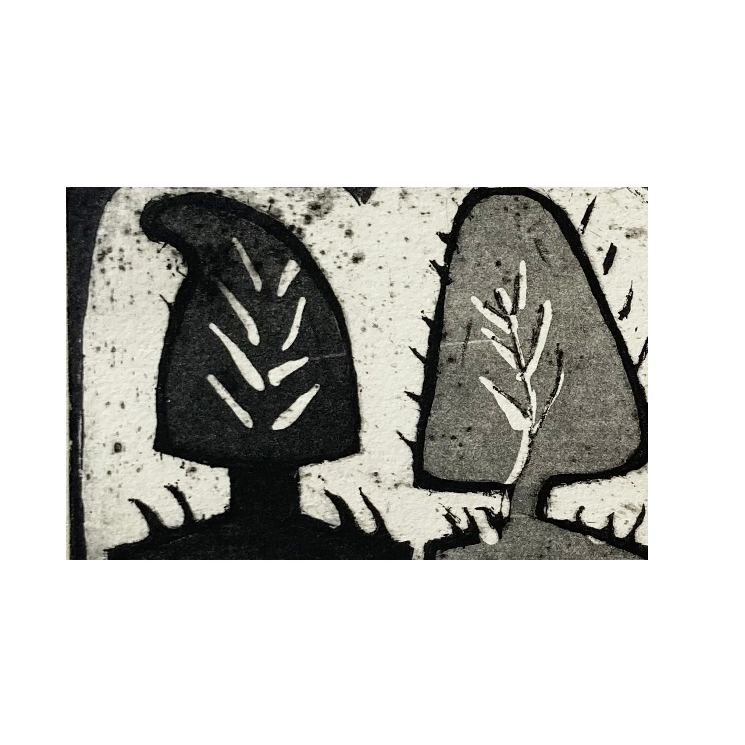 Turkish Trees Block  002.jpg