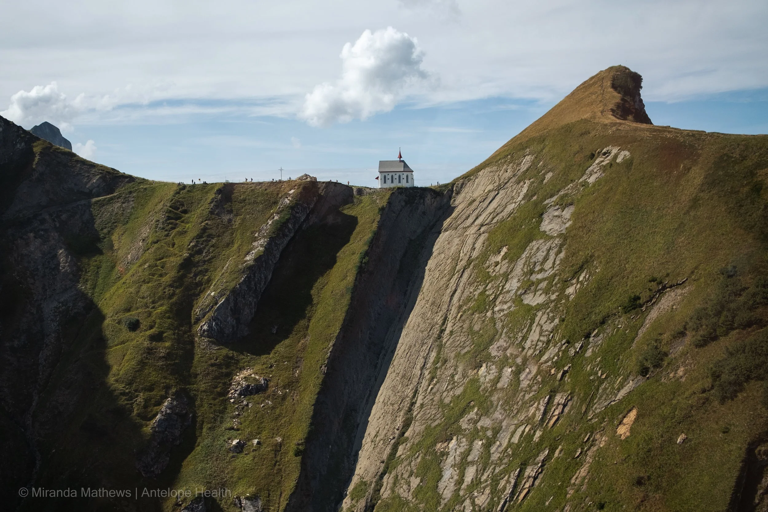 Why We’re Different: A Neuroscience-Driven Approach to Health