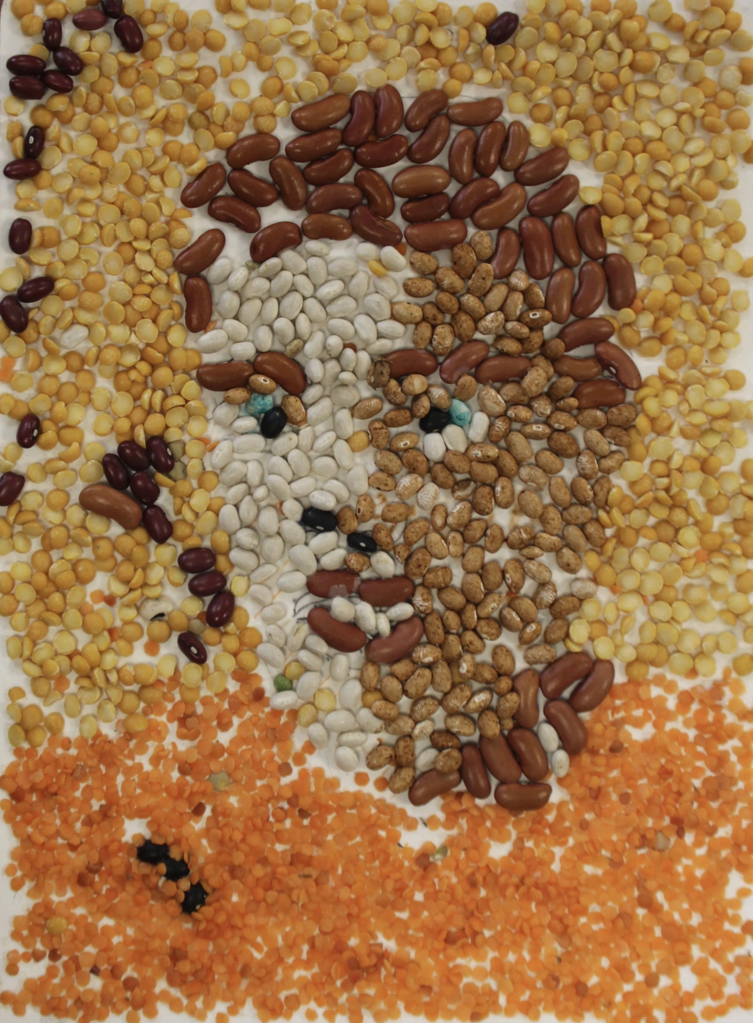 E.H., Beans on paper, 9 in x 12 in 