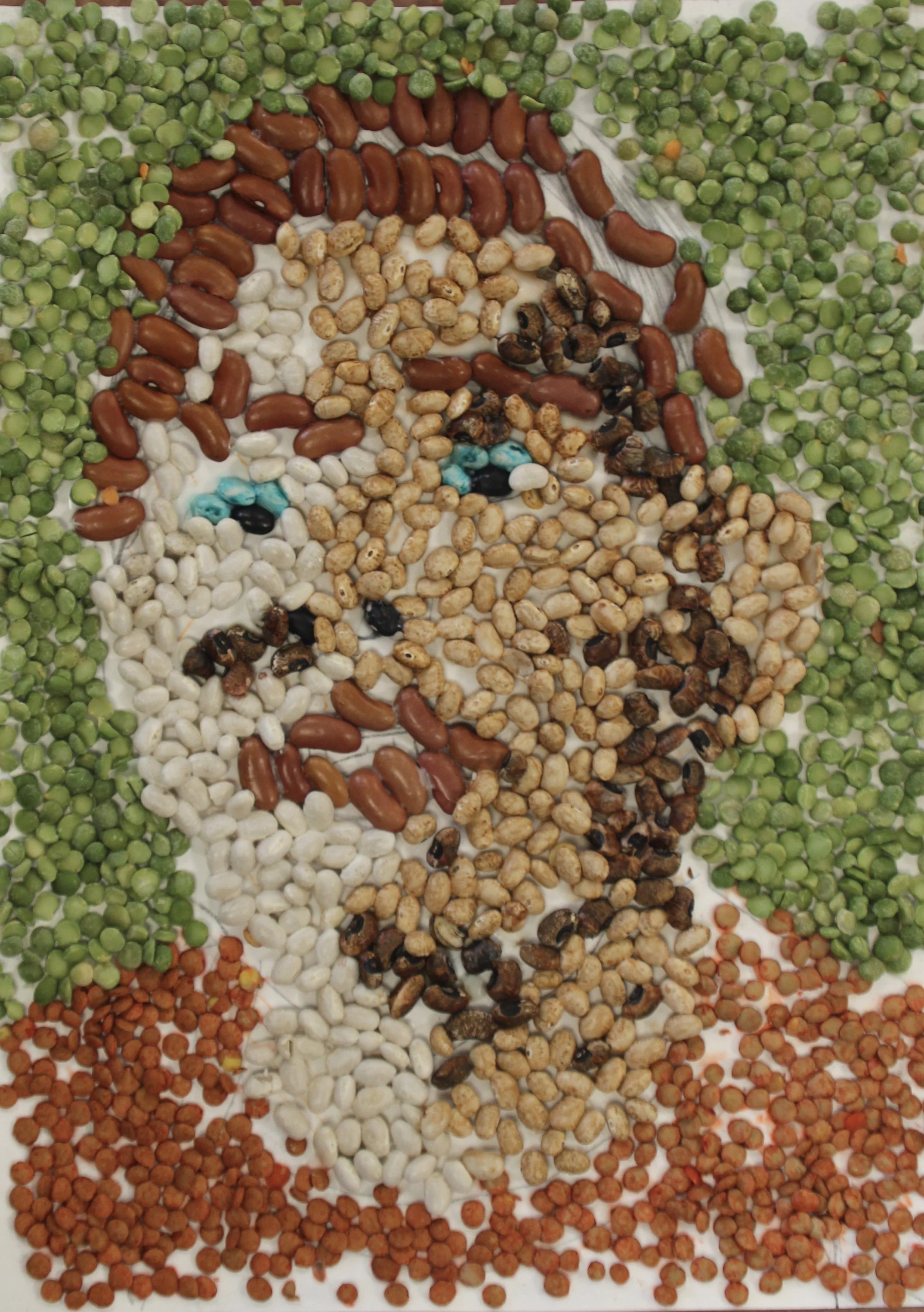 K.T., Beans on paper, 9 in x 12 in  