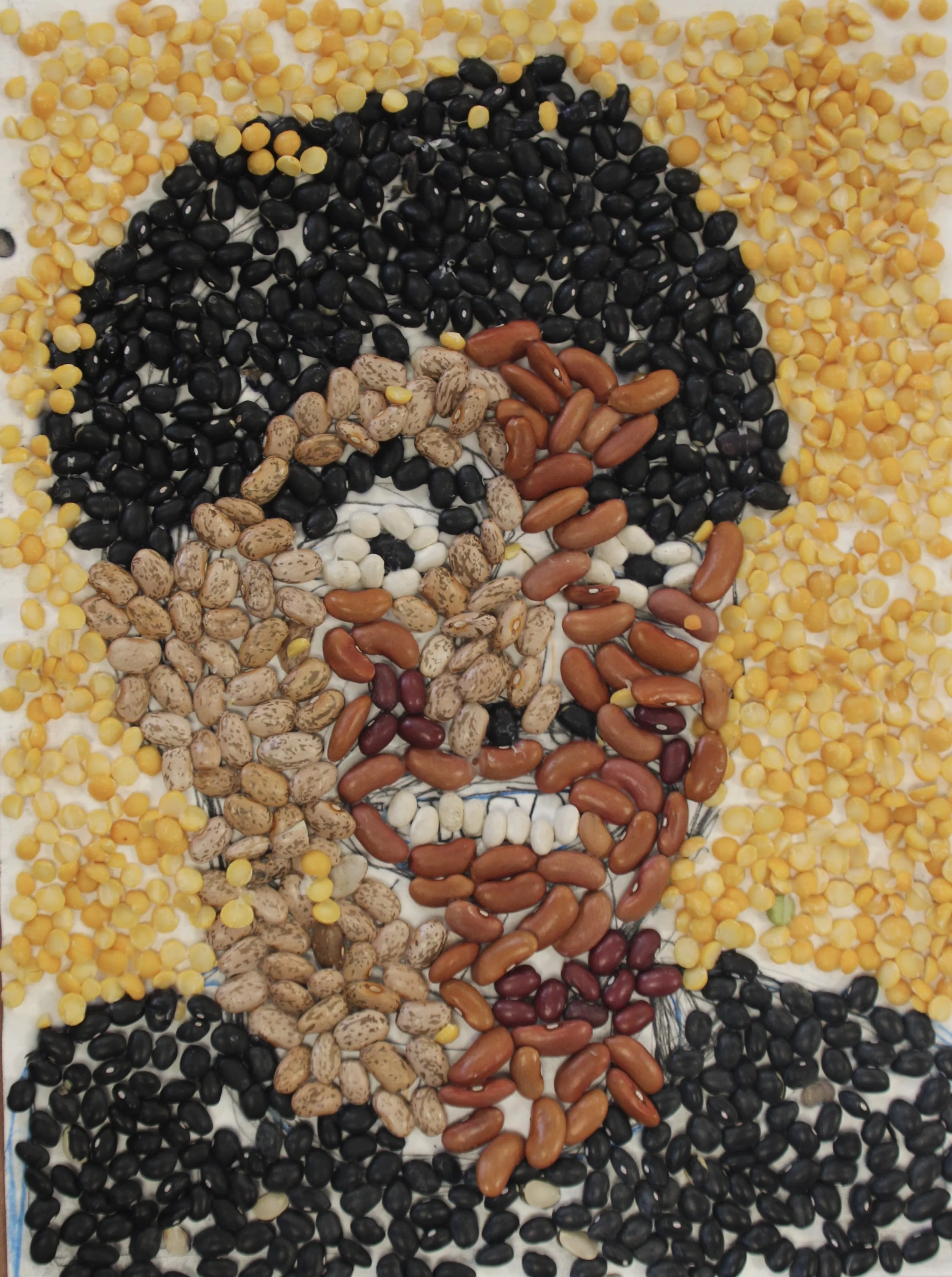 D.K., Beans on paper, 9 in x 12 in 