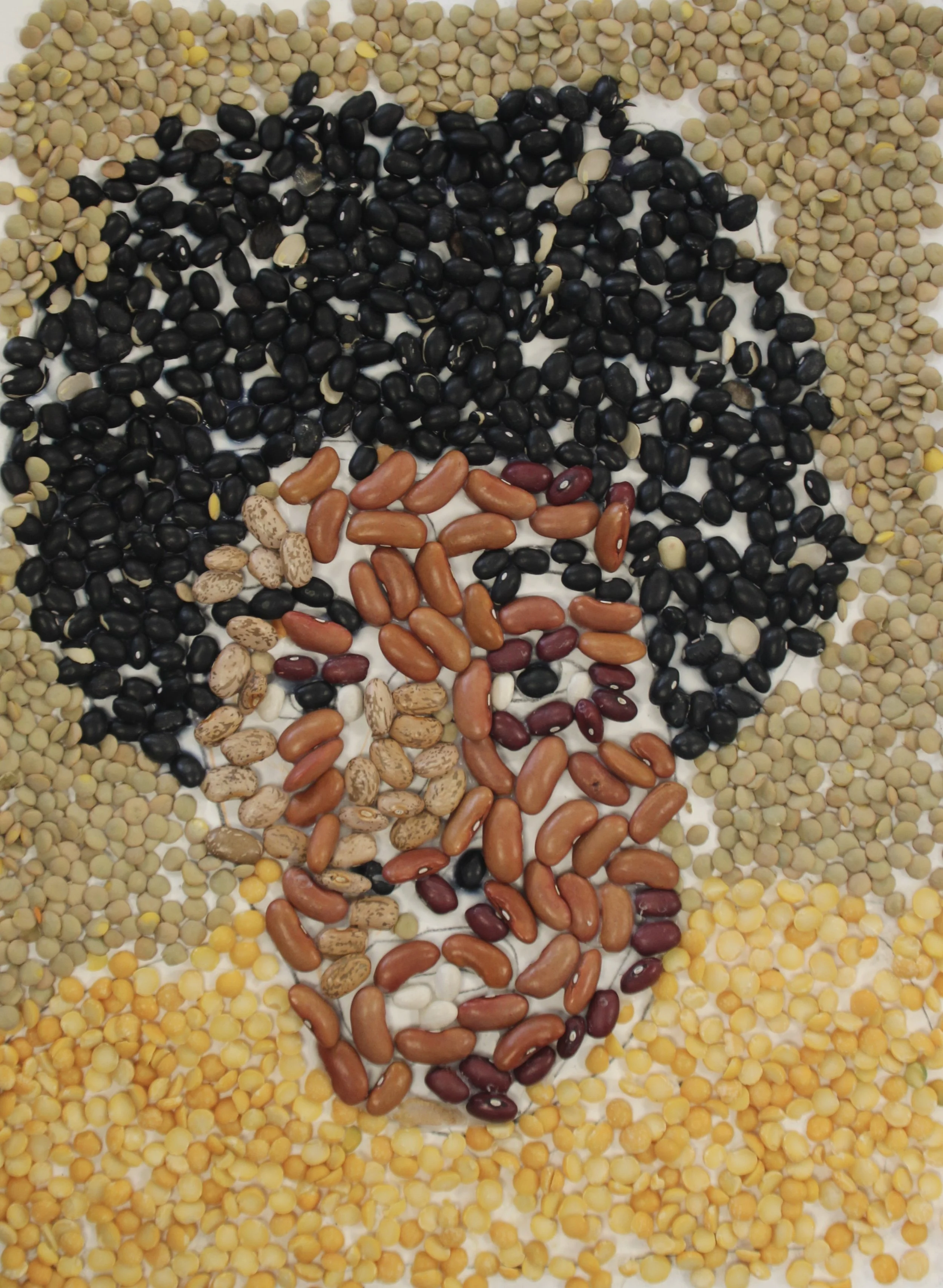 N.M., Beans on paper, 9 in x 12 in 