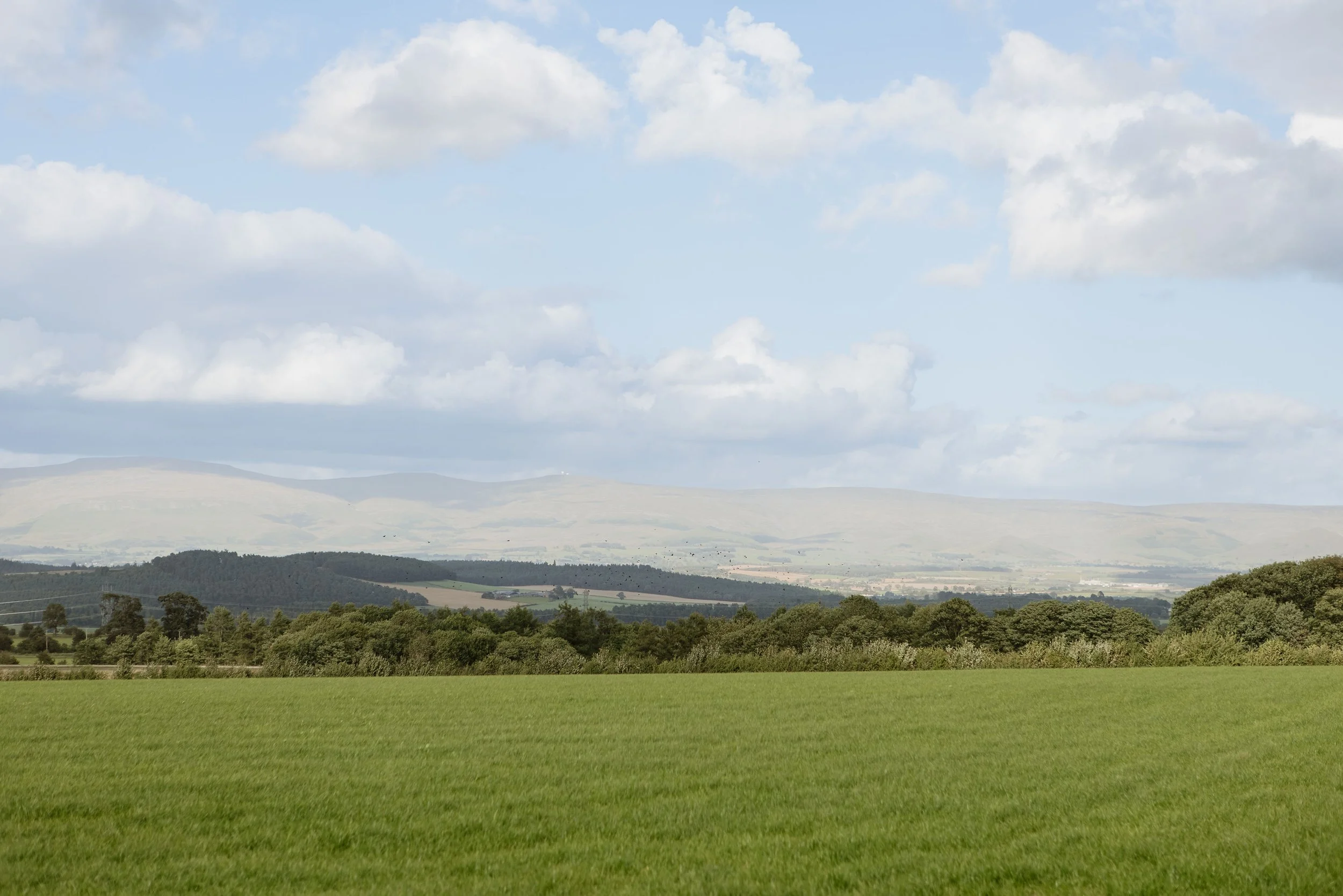 A wide landscape view of green grassy fields in the foreground, a line of trees, rolling hills in the distance, and a partly cloudy sky.