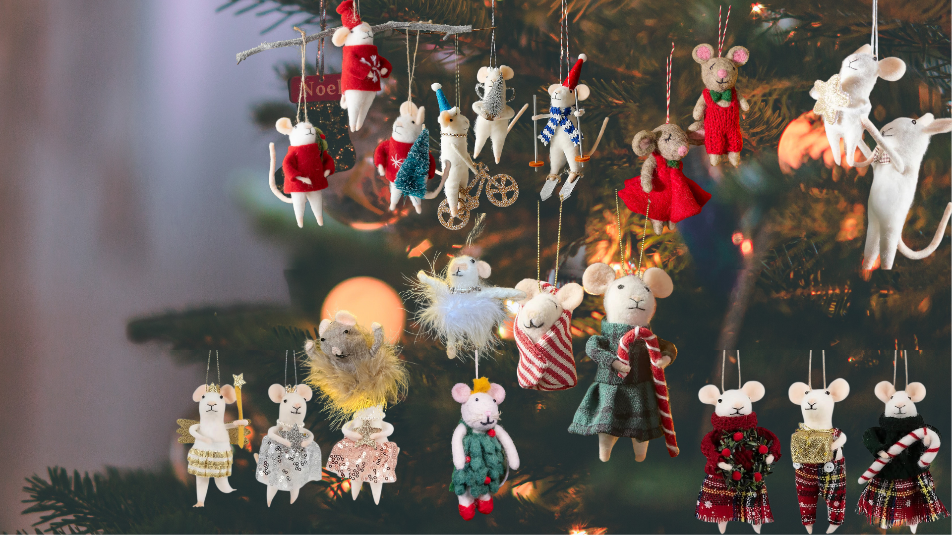 christmas &amp; joel’s birthday