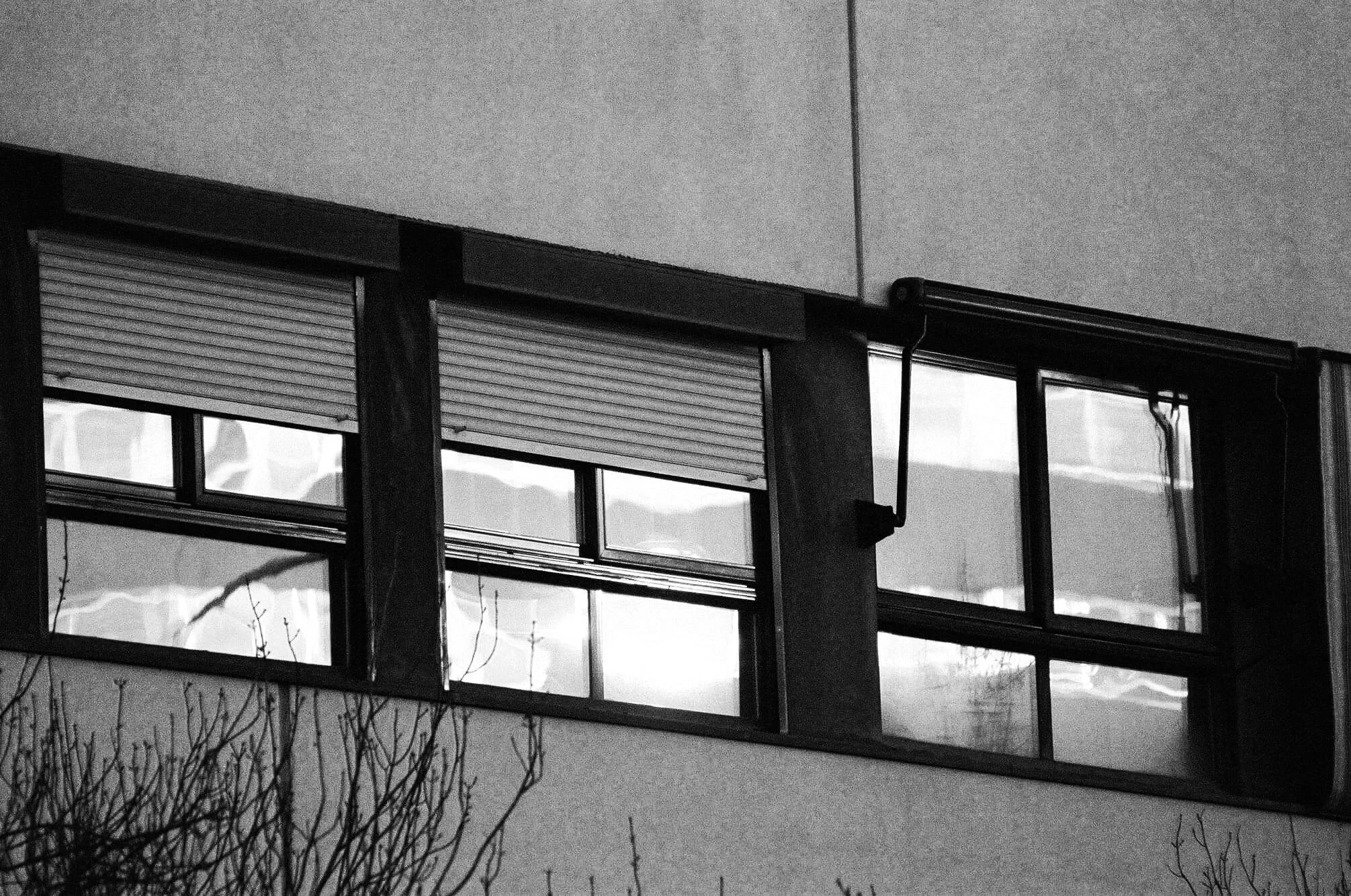 Black and white photo of a building's upper floor windows/roof area with partially opened window shutters and a tree in the foreground.