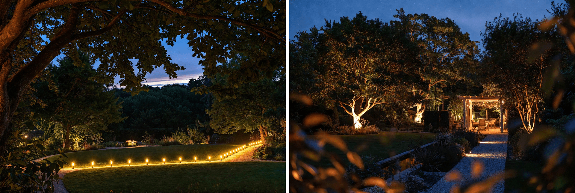 Uplit mature trees lining a curved garden path at twilight