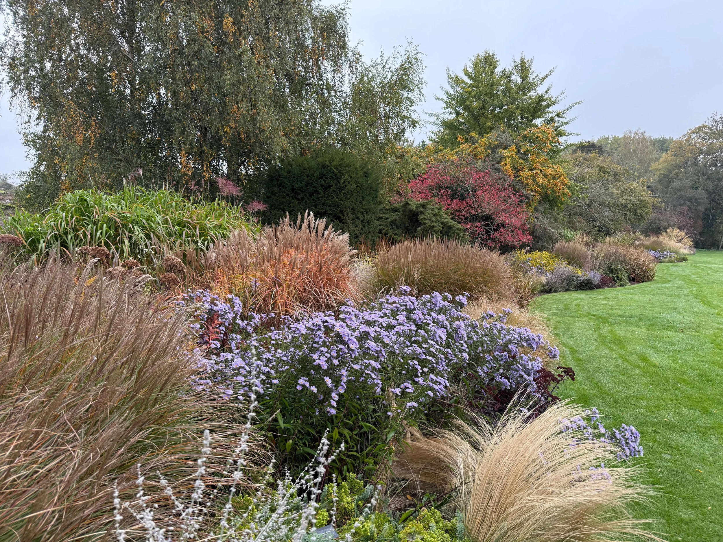 Best Plants for Winter Interest in UK Flowerbeds