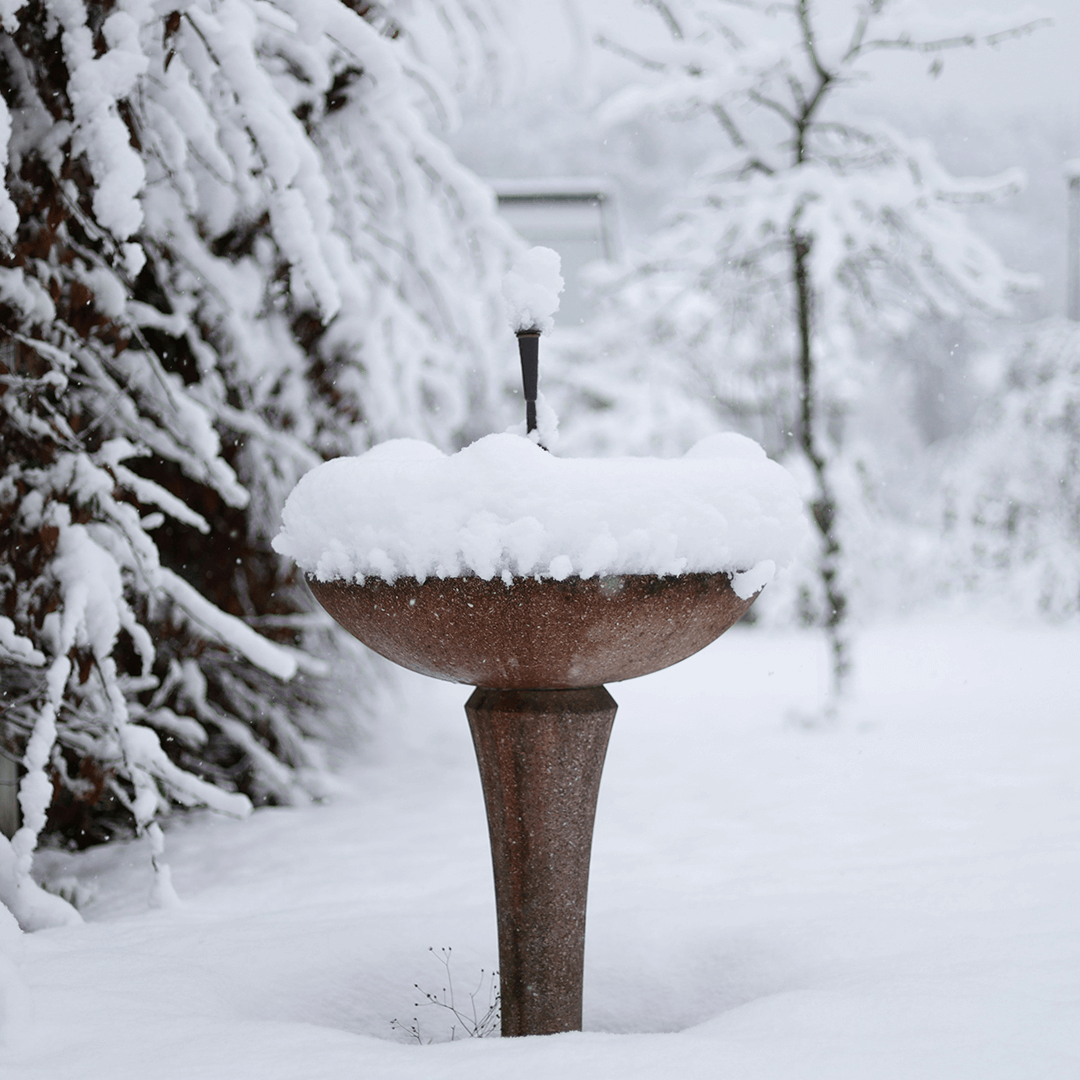 Why Winter Is the Best Time to Plan Your Garden Redesign