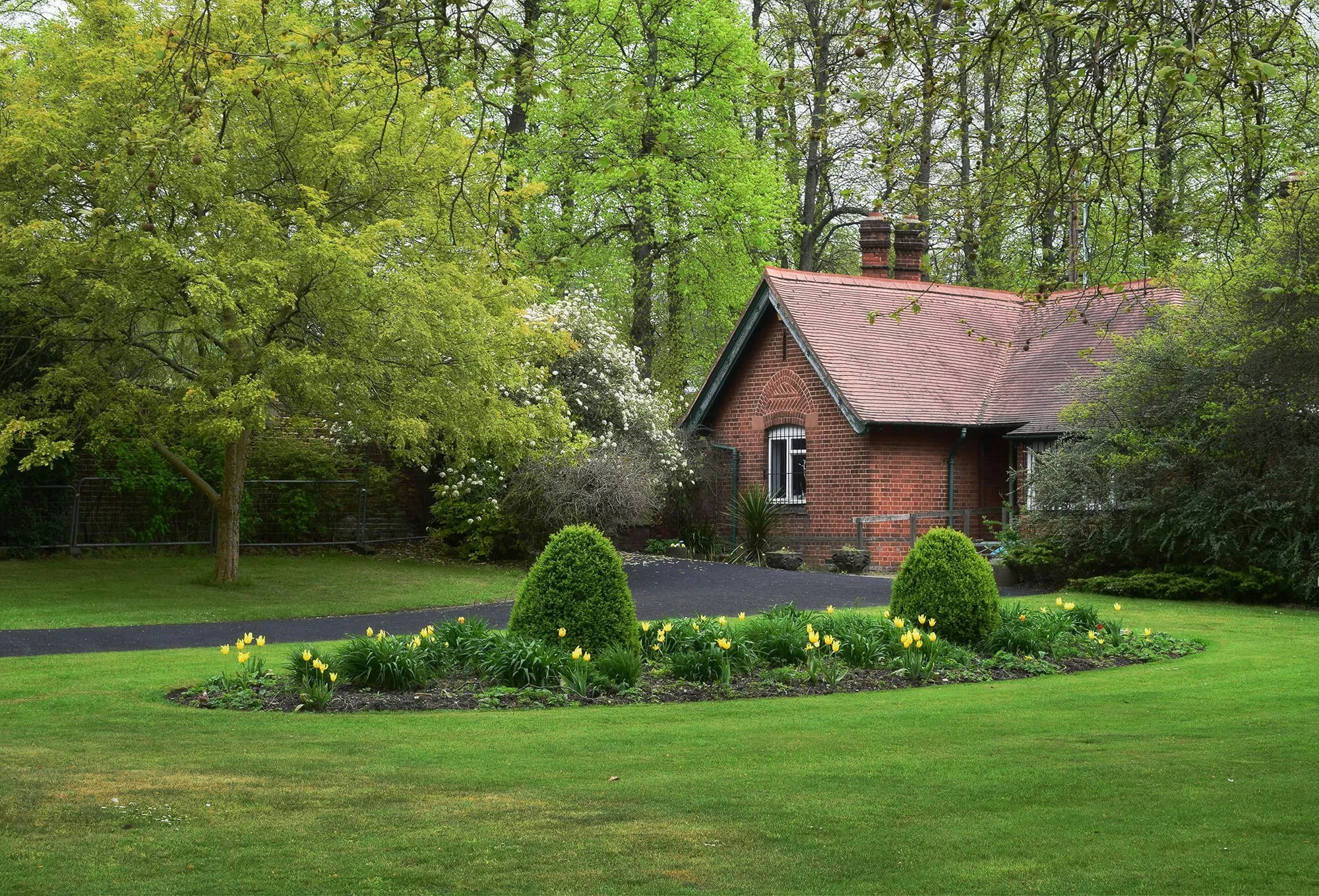 5 Reasons Your New Buckinghamshire Lawn Is Struggling and the Local Fixes That Work