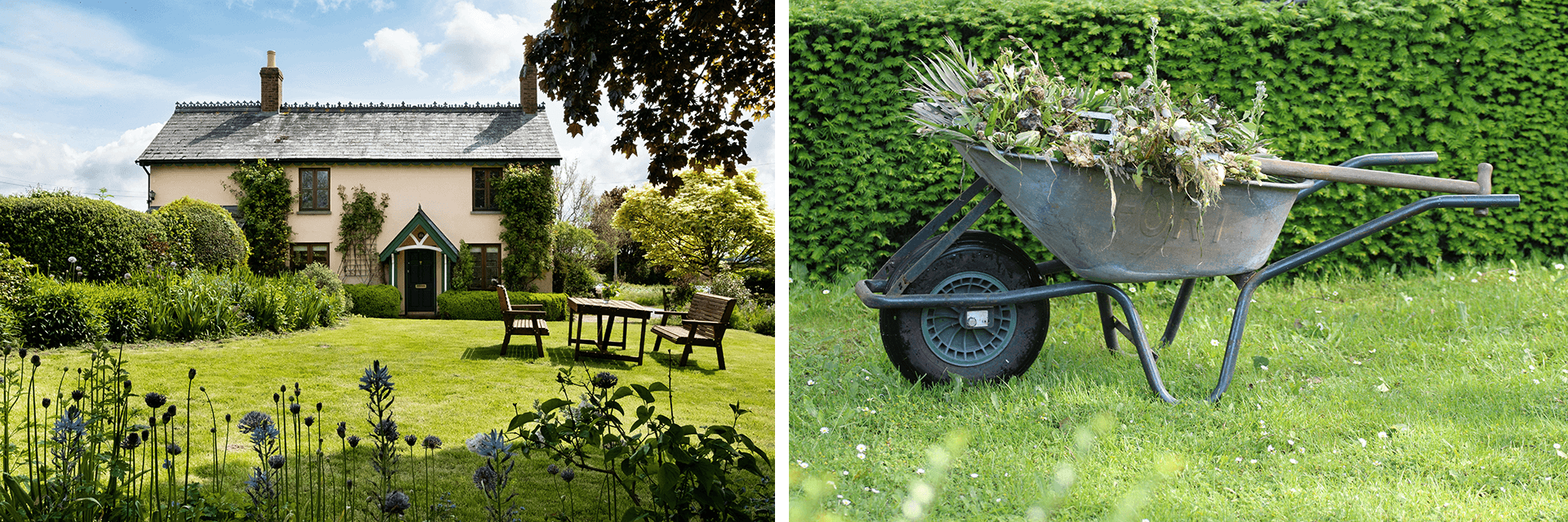 Split image showing a beautifully maintained English cottage garden with lush green lawn (left) and a wheelbarrow full of garden debris after autumn maintenance (right), illustrating long-term lawn success through regular scarifying and care.