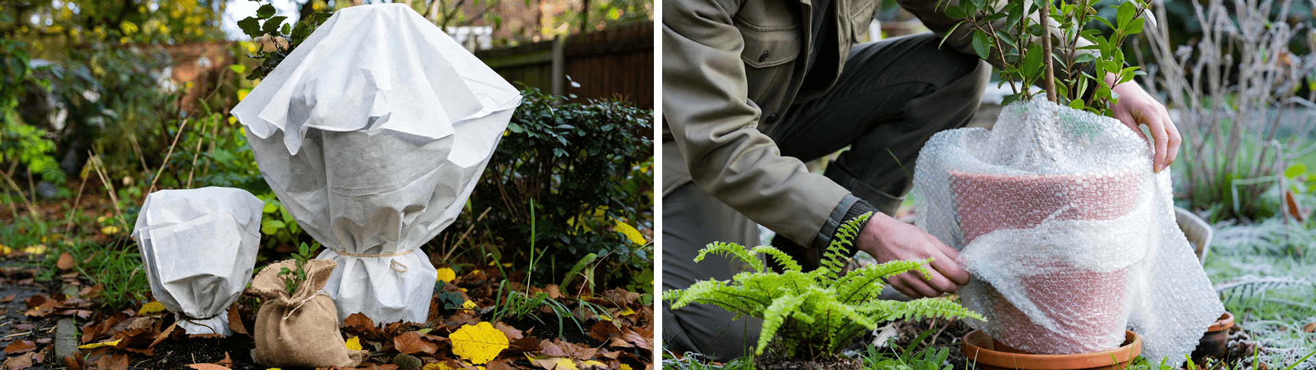 Split image of frost protection methods: plants wrapped in white fleece and hessian (left) and gardener applying bubble wrap to a potted plant (right).