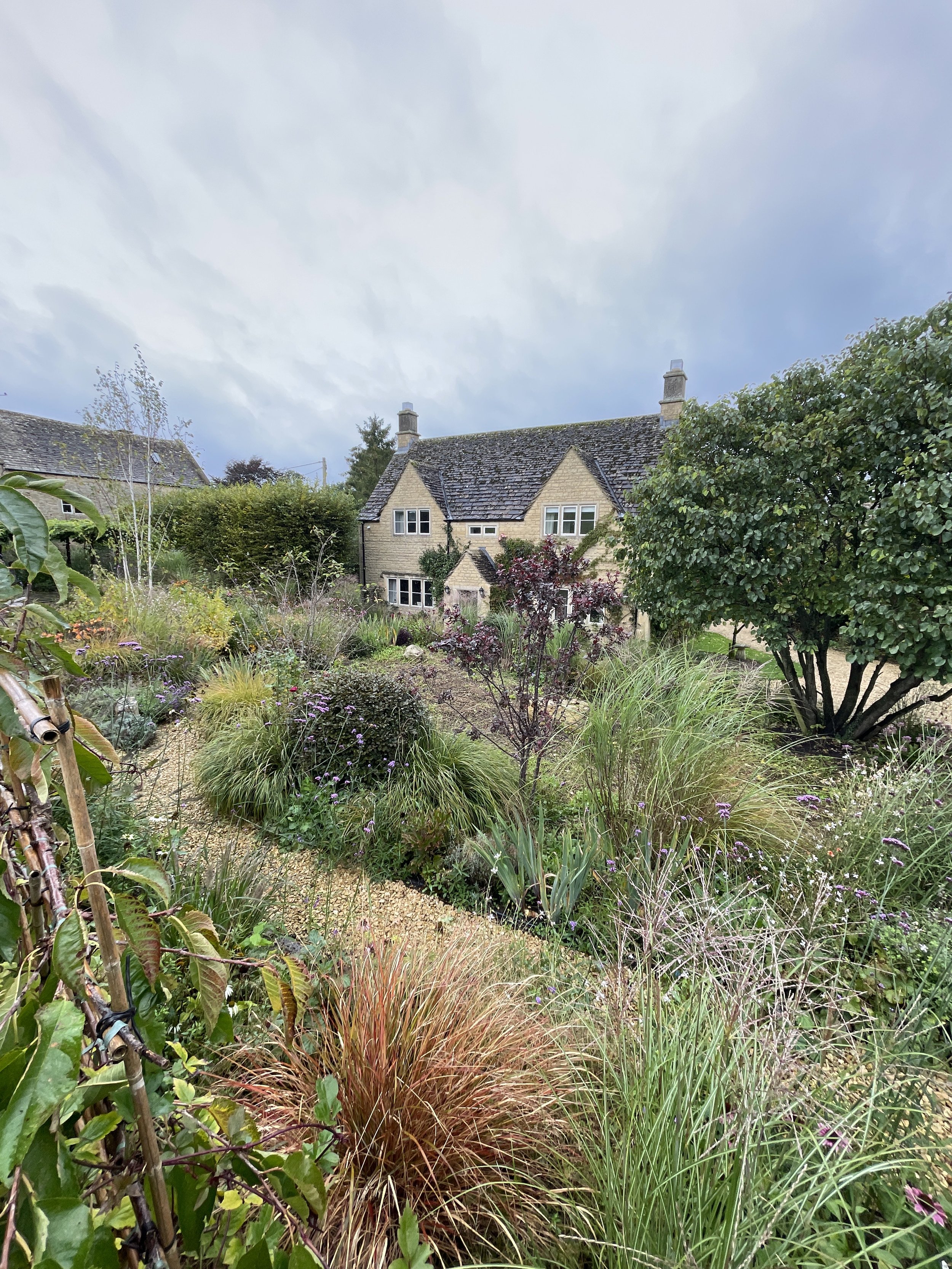 Windrush garden in summer