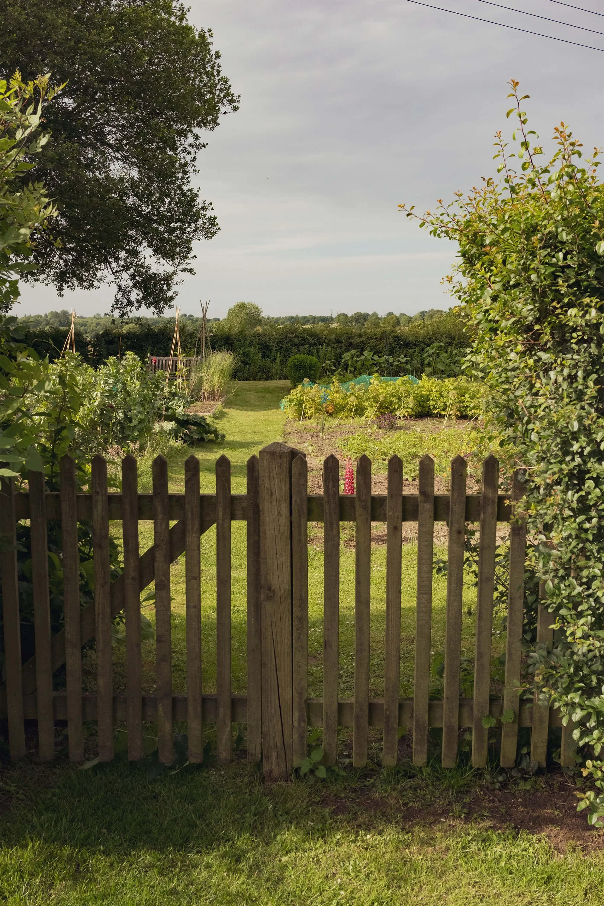 Rural garden with a wooden picket fence and gate, looking out across the lawn to open countryside and hedgerows beyond.