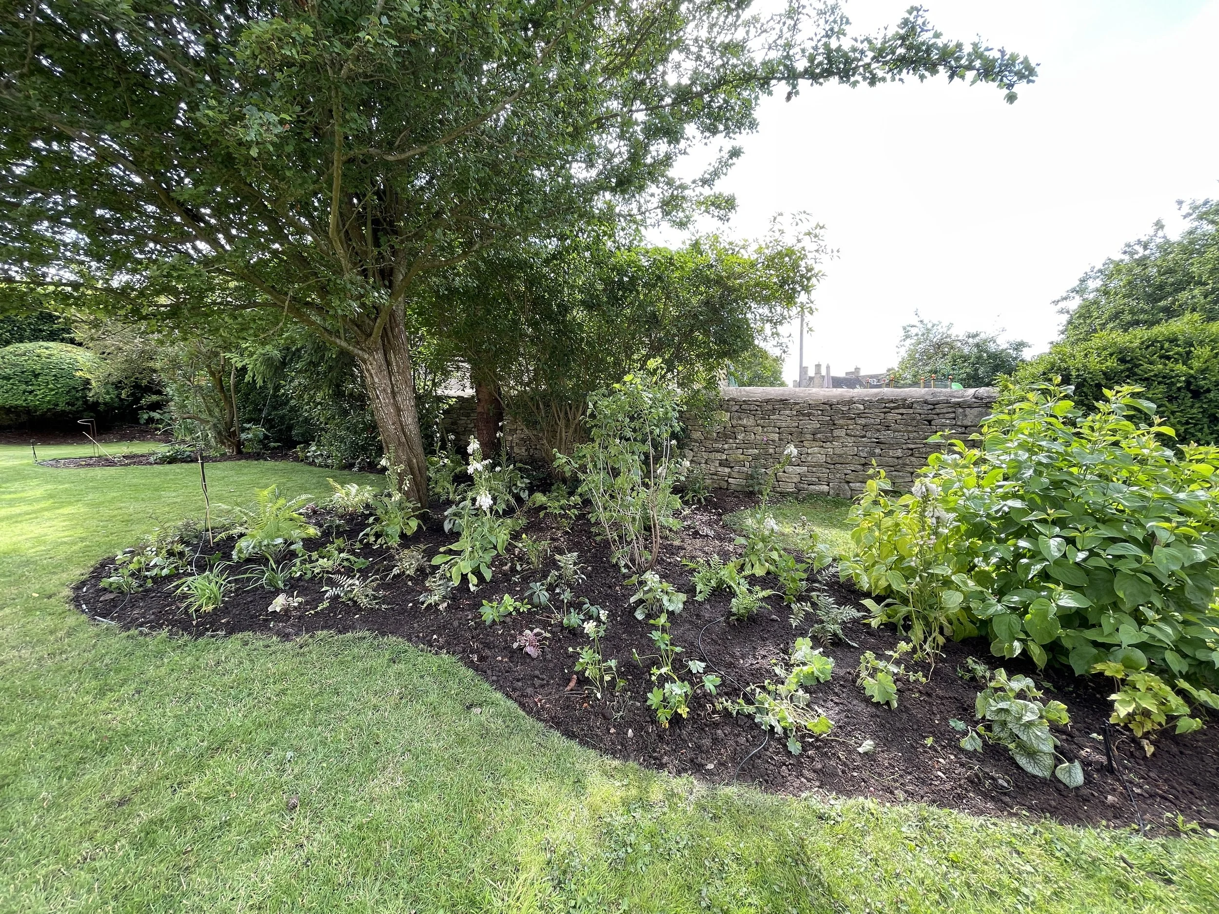 Windrush back garden 