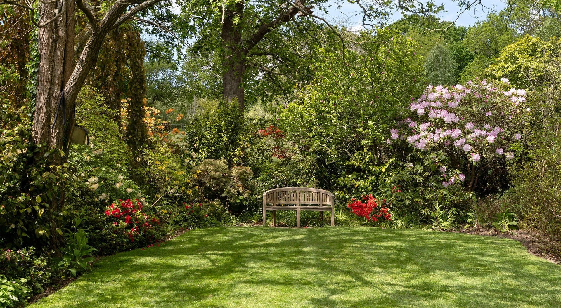 Established garden with a wooden bench on a lawn under mature trees, framed by flowering azaleas and rhododendron in dappled shade.