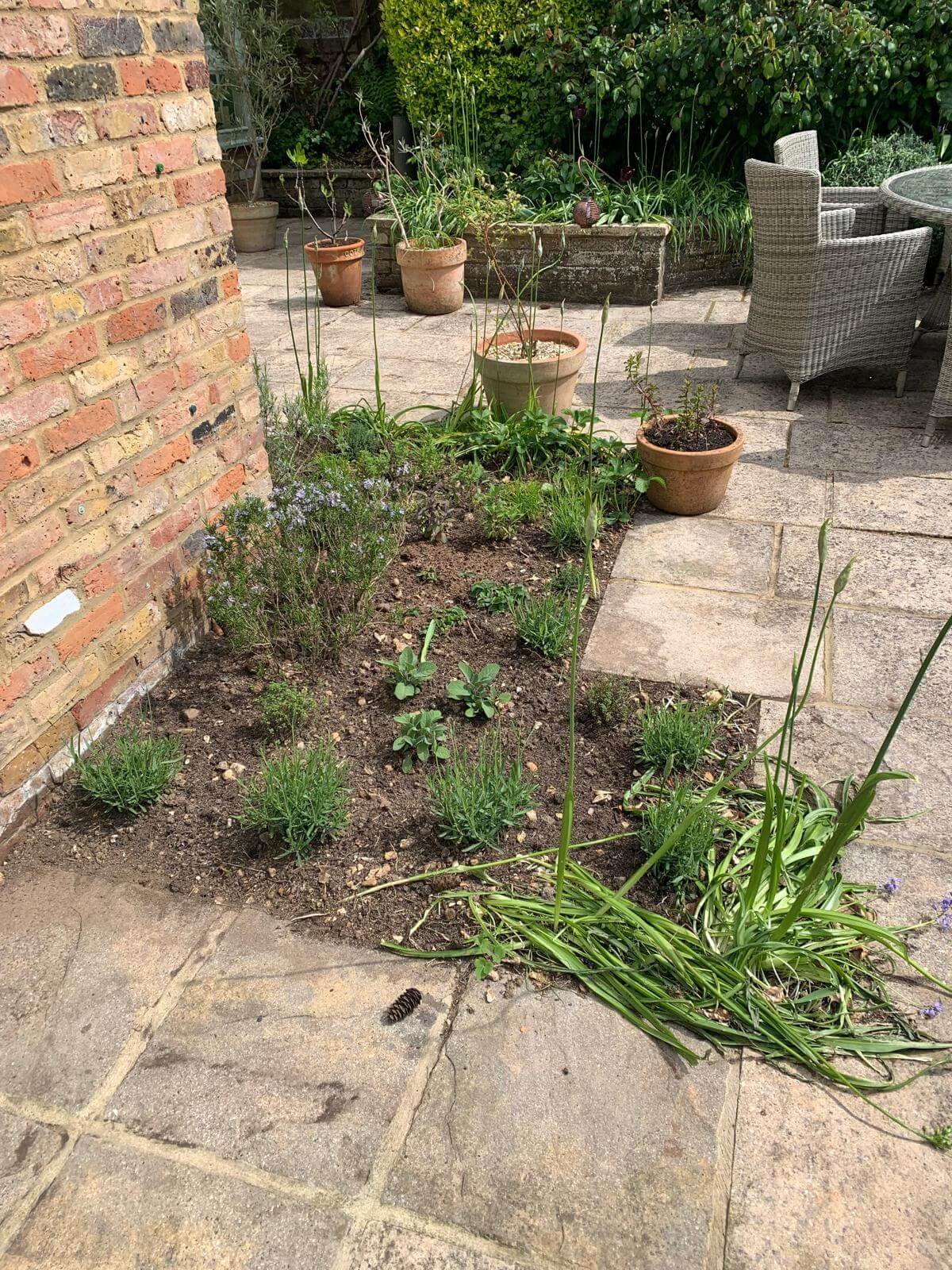 CHALFONT ST GILES - Vivid gardens projects 5.jpg