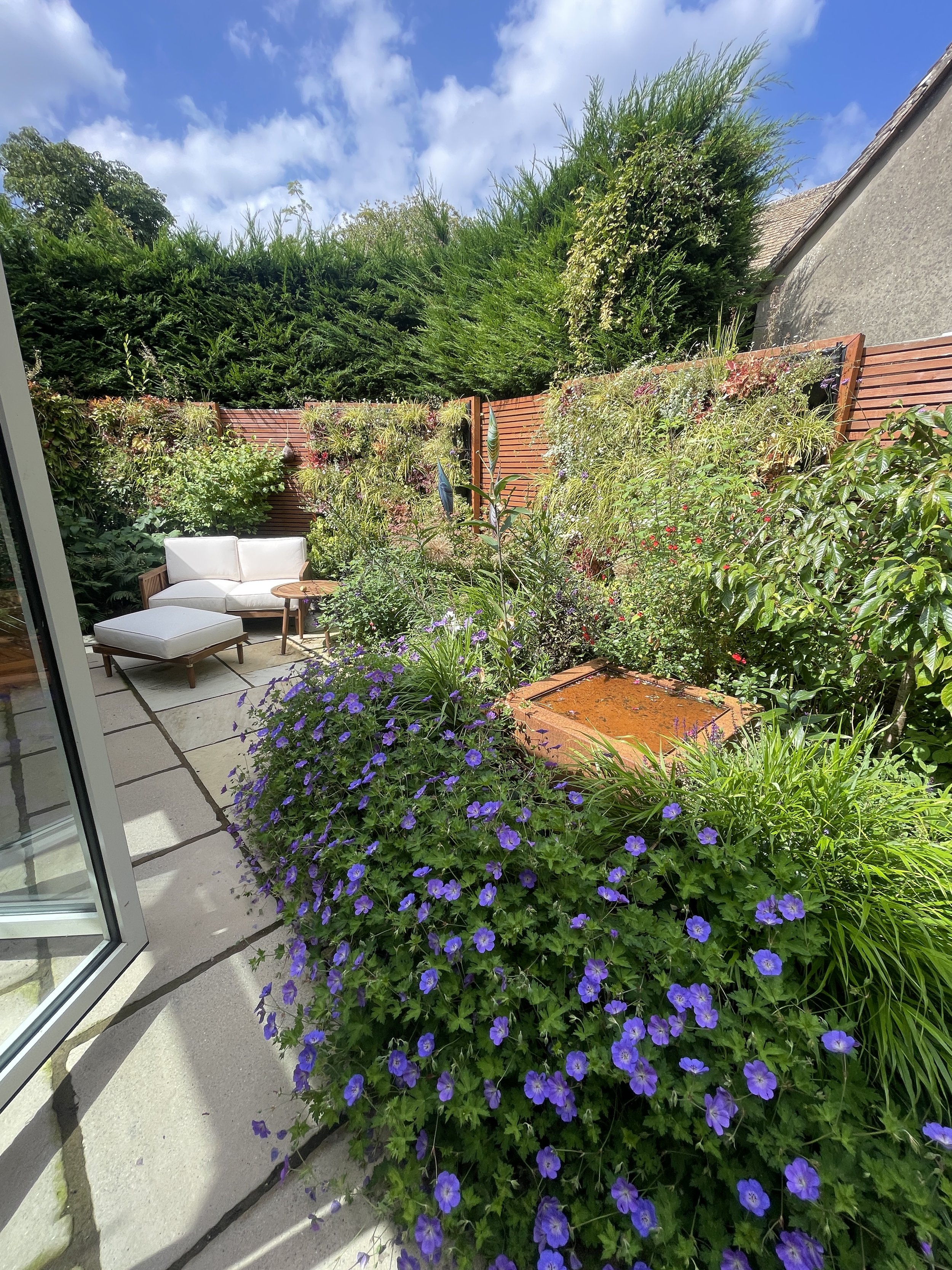 In summer, Churchill Garden comes to life with vibrant colour, texture, and movement. Lush planting fills the space with seasonal interest, as flowering perennials, ornamental grasses, and established shrubs thrive in the warmer months.