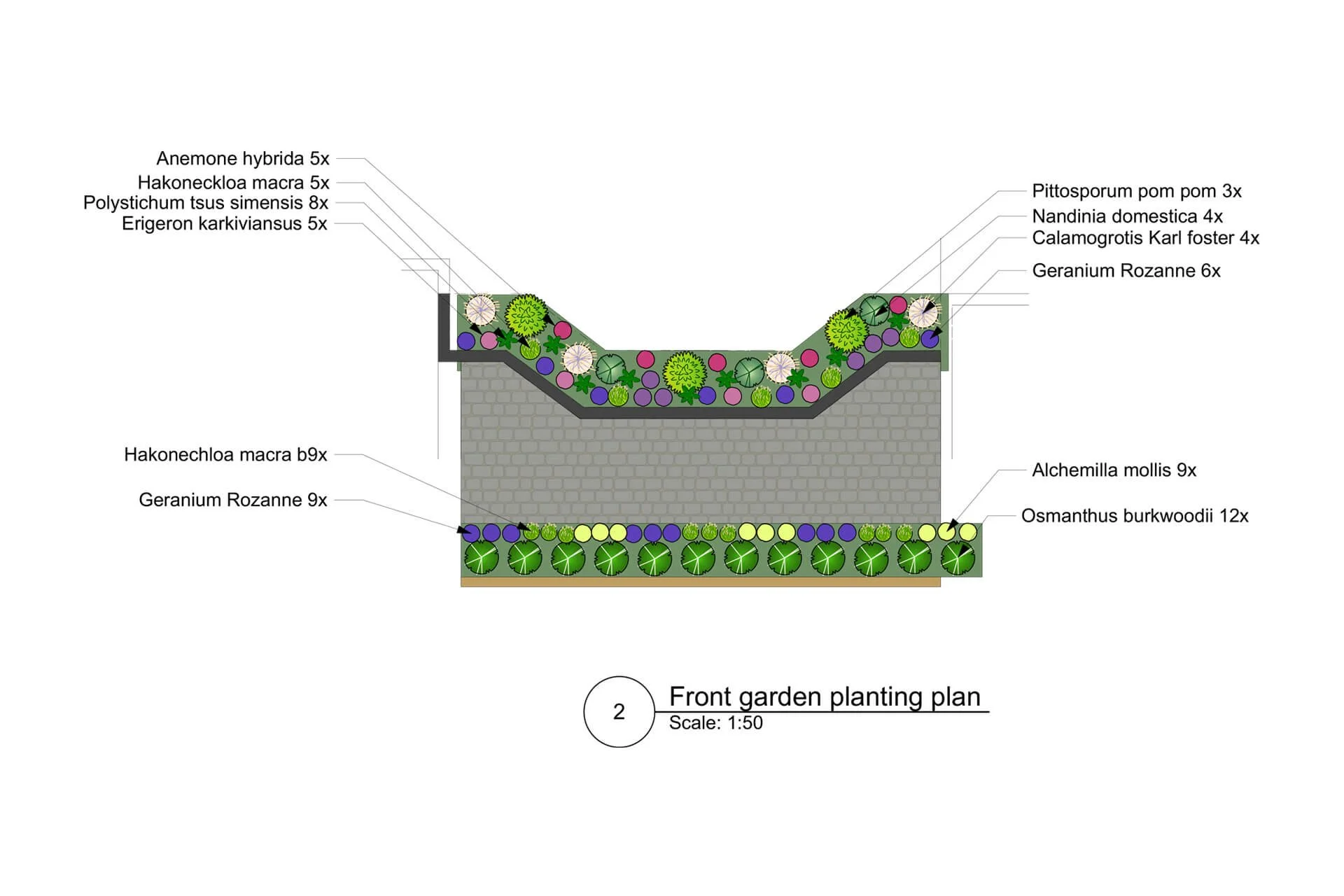 A front garden planting plan showing various plants and their quantities, including anemone hybrida, Hakonechloa macra, Polystichum tisus, Ermgeron karkiviansus, pittosporum, Nandina domestica, Calamagrostis Karl foster, Geranium Rozanne, Alchemilla mollis, Osmanthus burkwoodii, and others, arranged along a brick wall and garden bed.