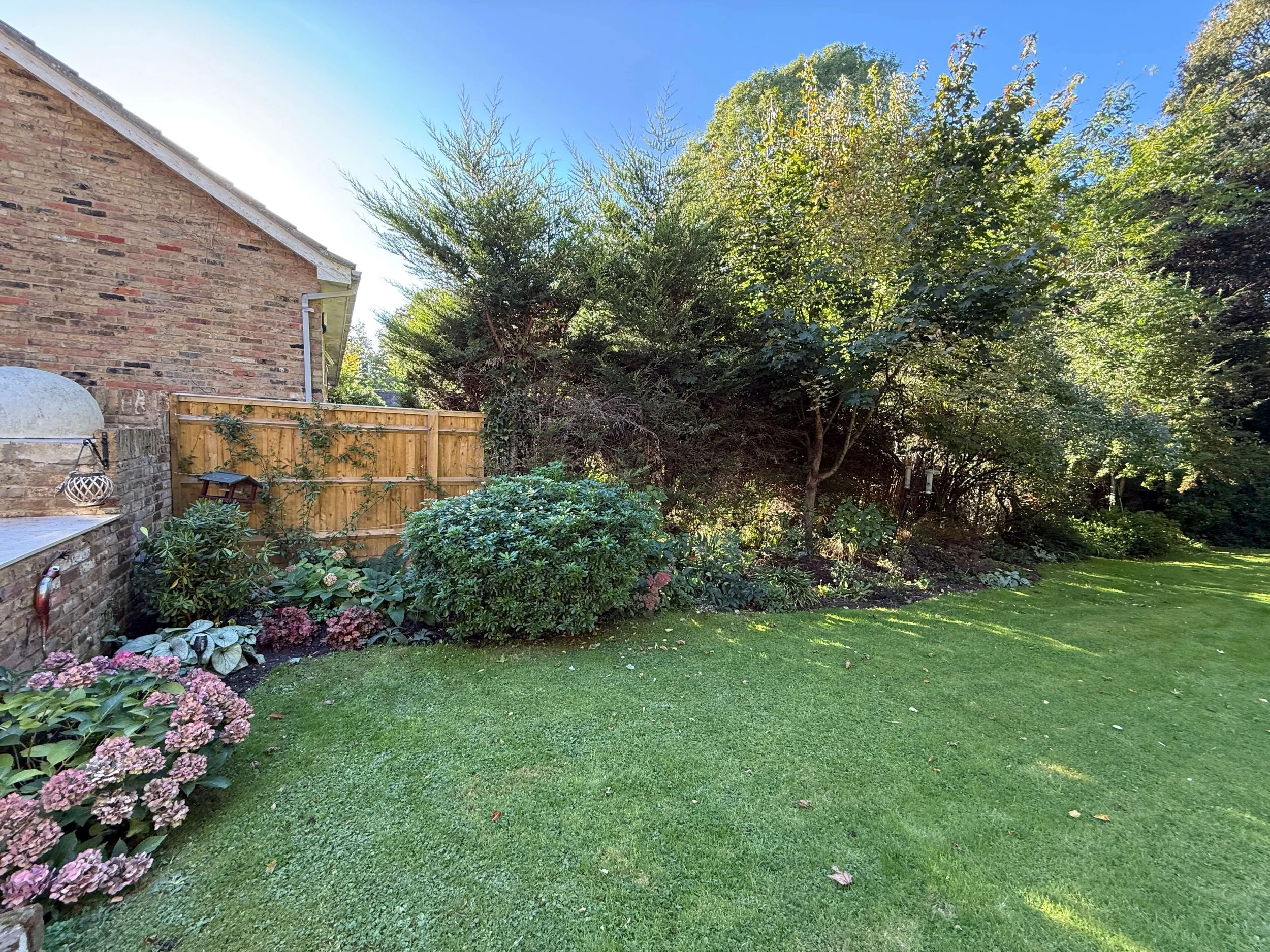 Amersham large back garden replanting with lush lawn, Japanese-inspired border and year-round perennial planting