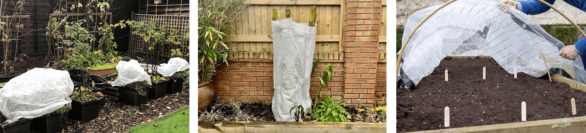 Examples of protecting plants from frost with breathable fleece covers on pots, individual shrubs, and raised vegetable beds